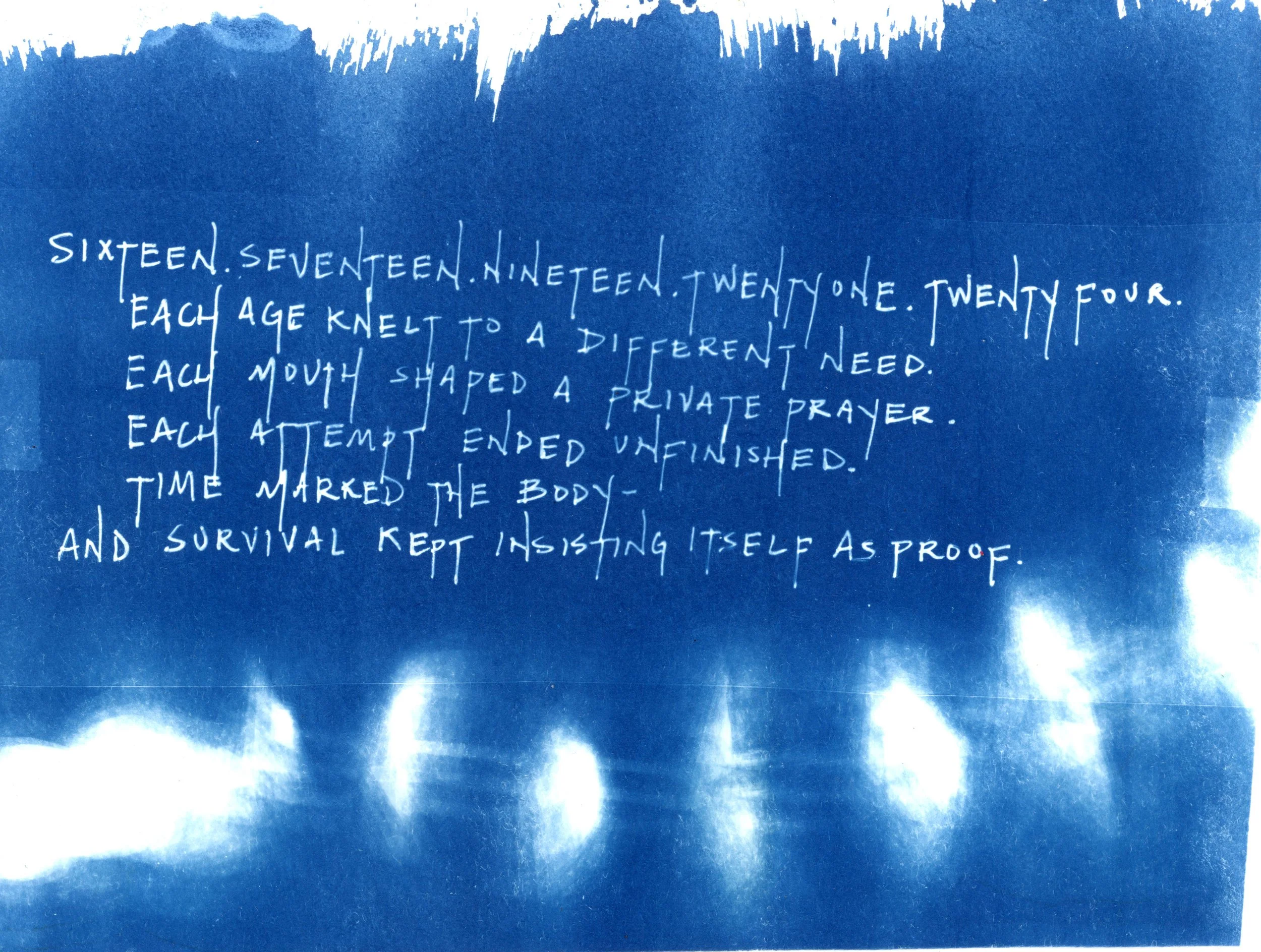 SITB cyanotype08.jpg