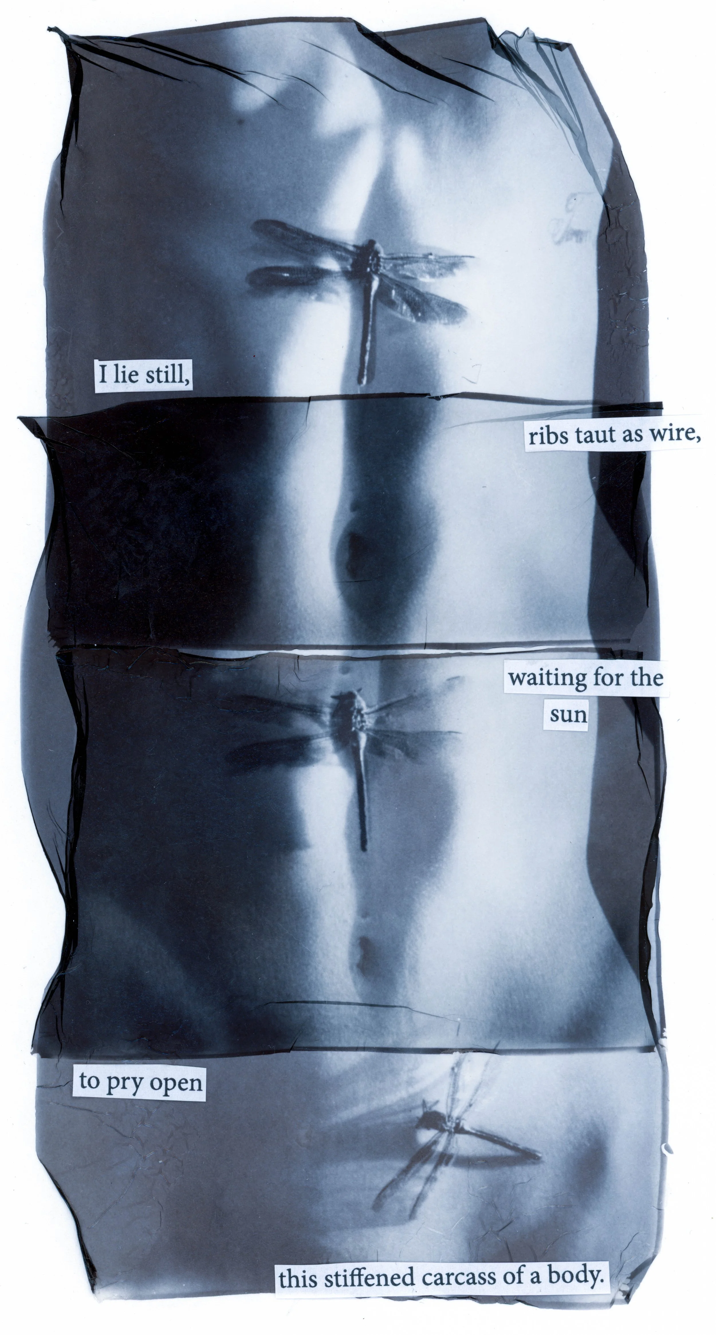 dragonfly lift4-3.jpg