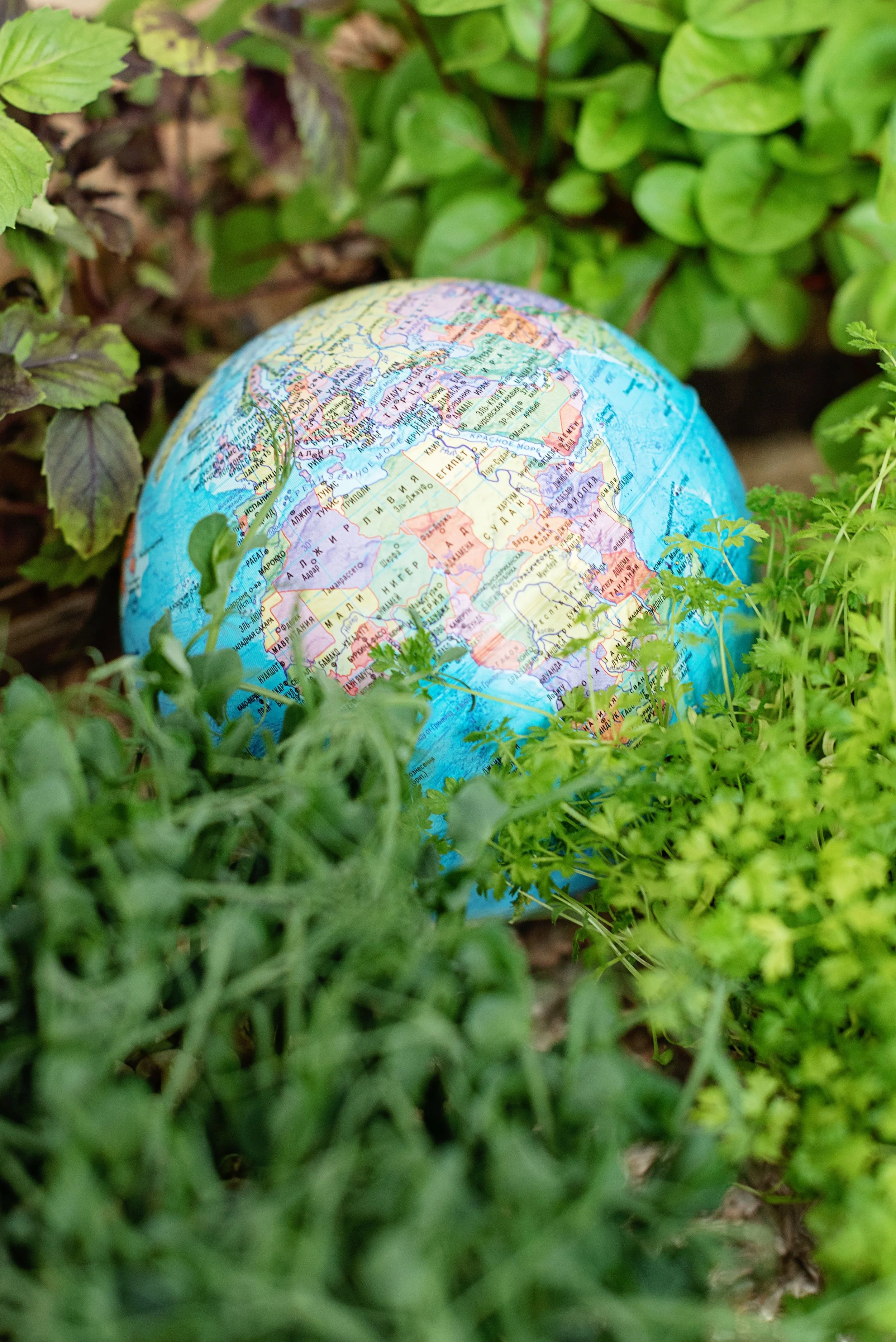 Earth Week Sale Email Campaign