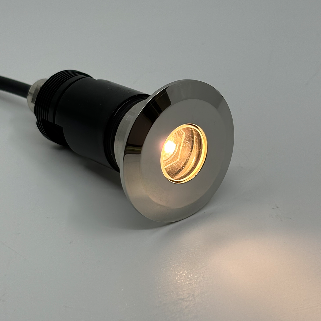 DL19 - SS image 2.png