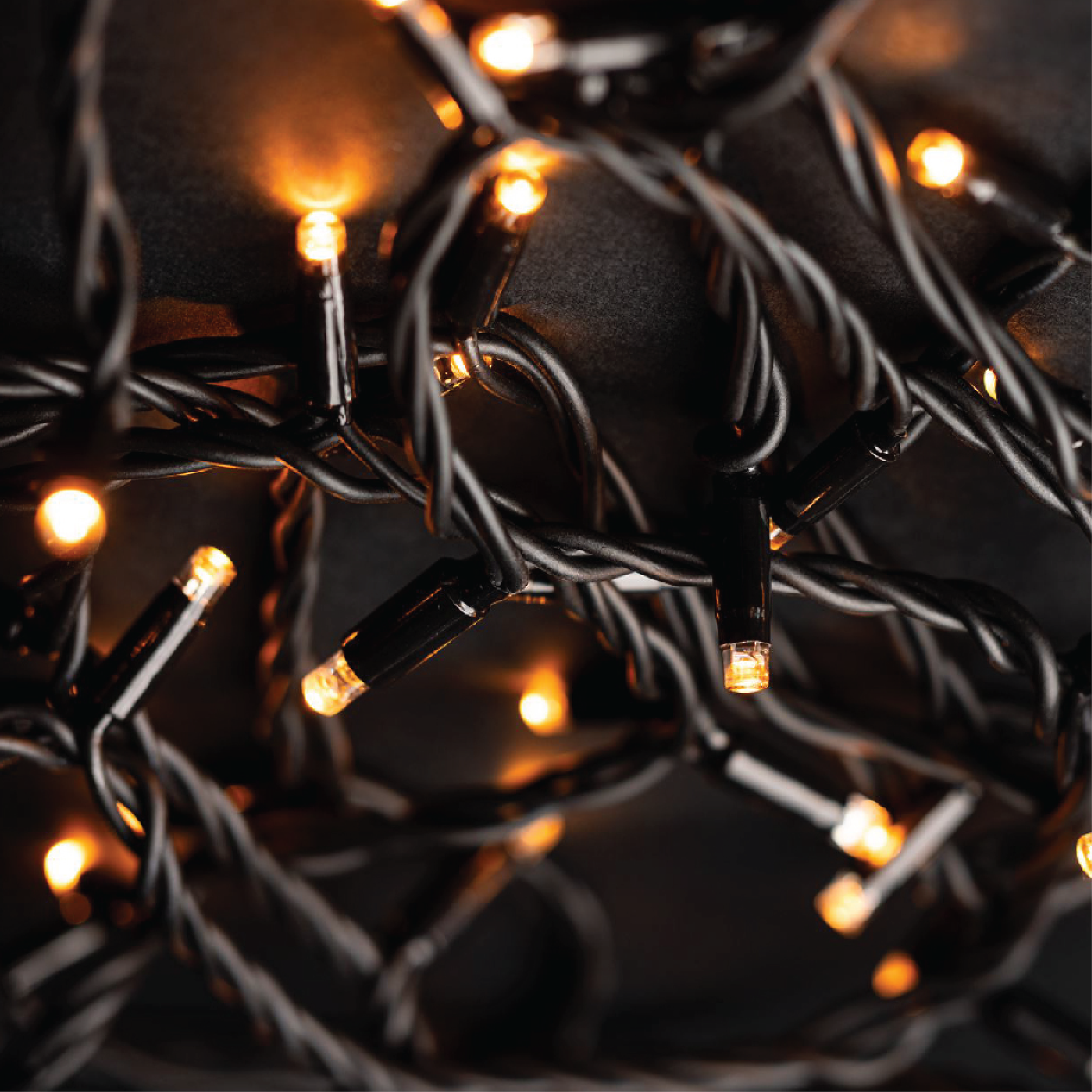 Fairy lights Black Cable GWW Glitter.png