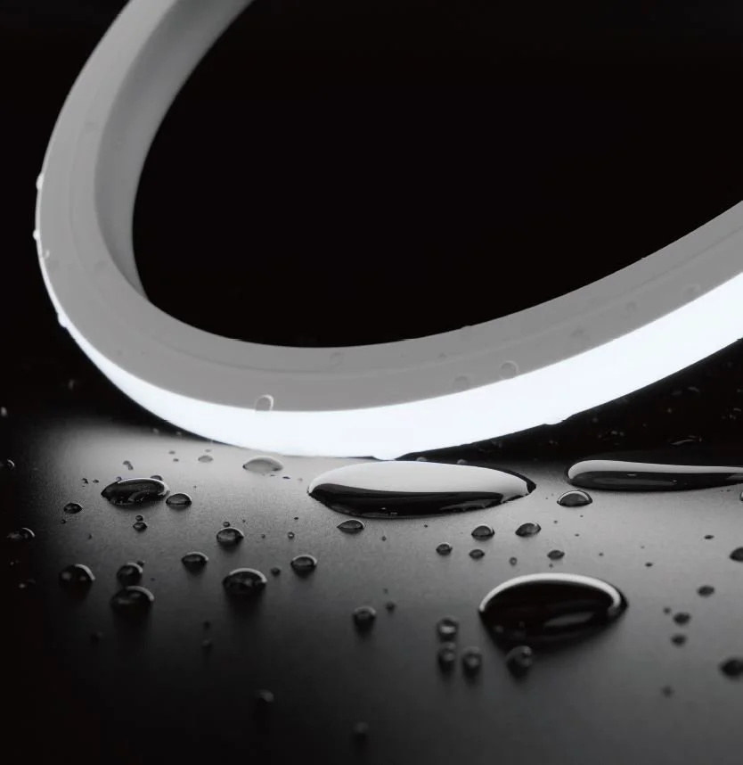 DL-CTVS-1615-IP68 Image.JPG