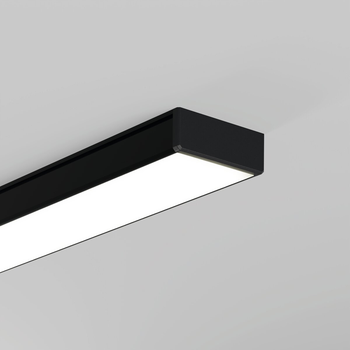 C24539C07UH_2.jpg