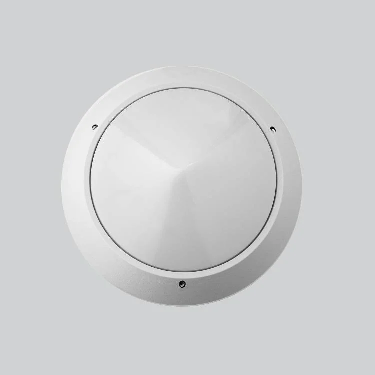 Targa White front_Background.jpg