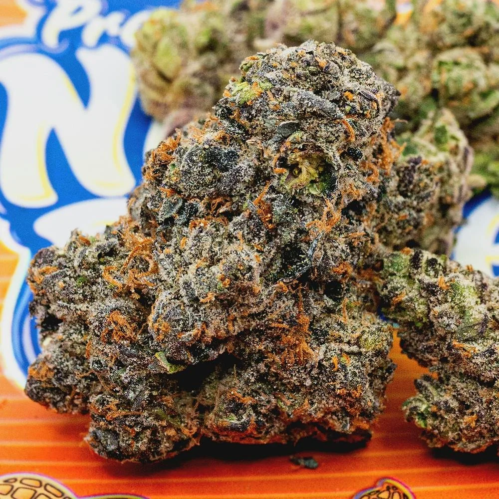 1693864393-nutter-butterz-paid-will-bandgang-lonniebands-teds-budz-cannabis.jpeg