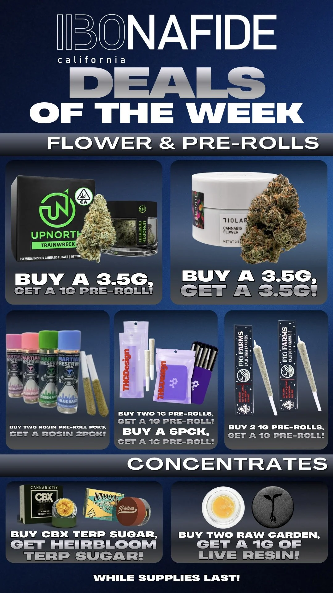 November 3-14 (3).jpeg