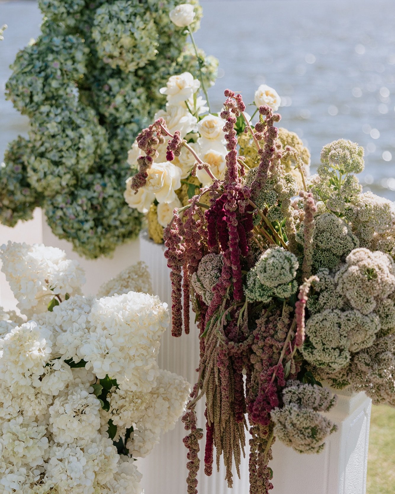 @wren.floralista magic ✨
