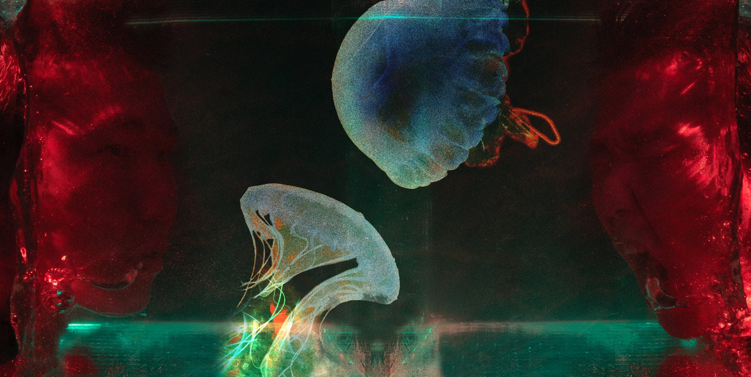 "In-between Breaths" 2024