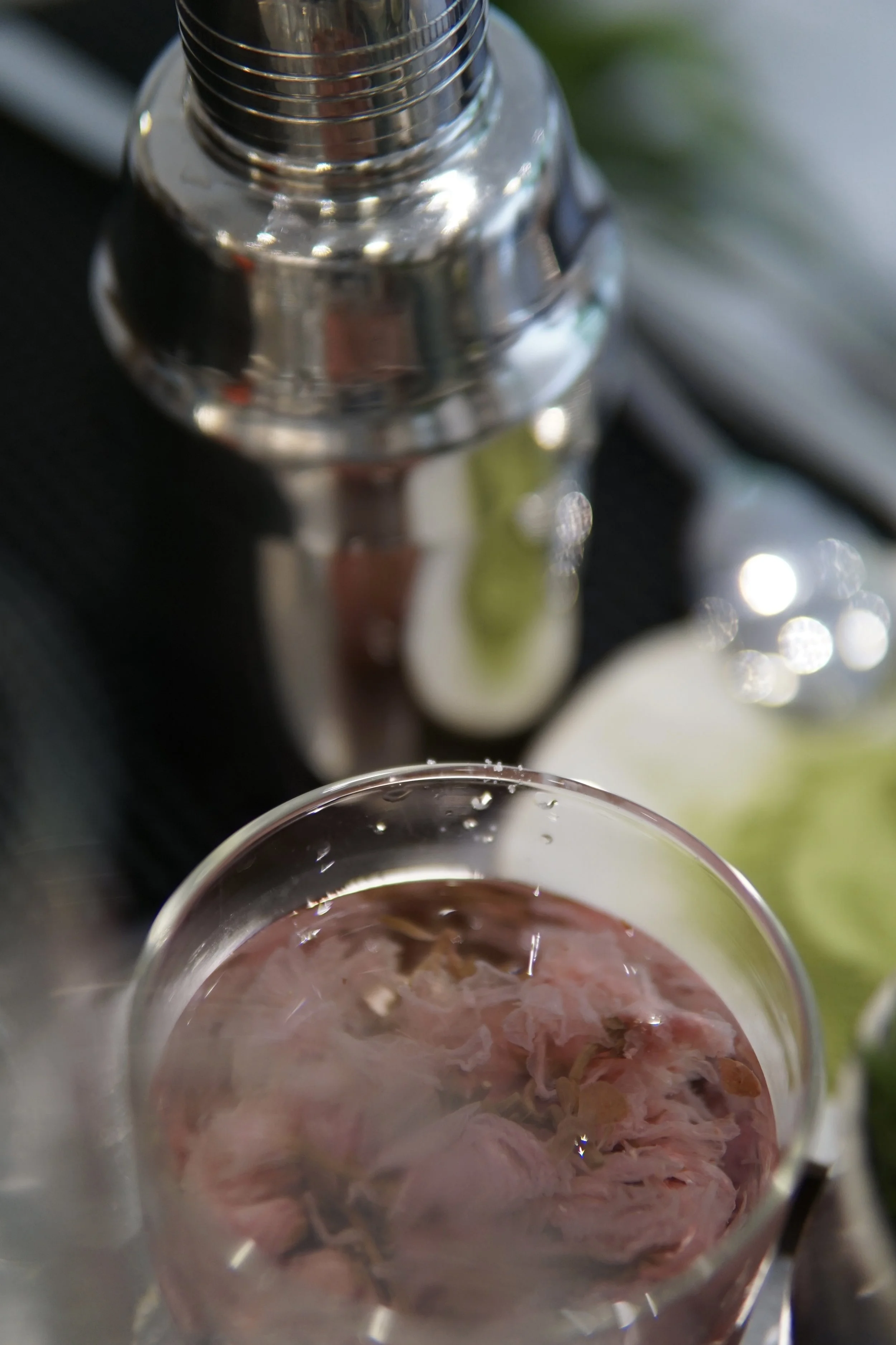 DSC05843.jpg