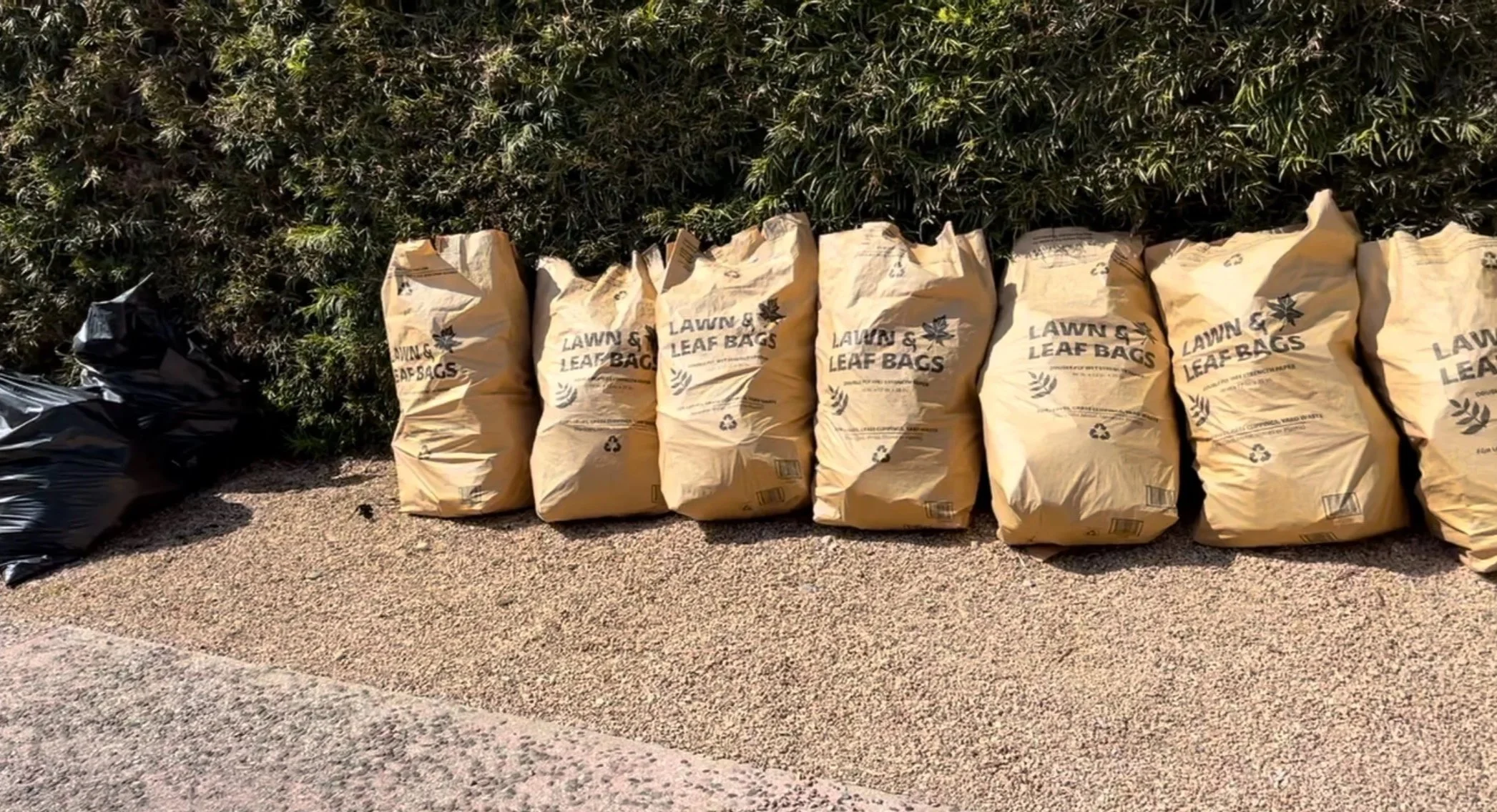 Green Waste Collect Leaves Removal & Haul