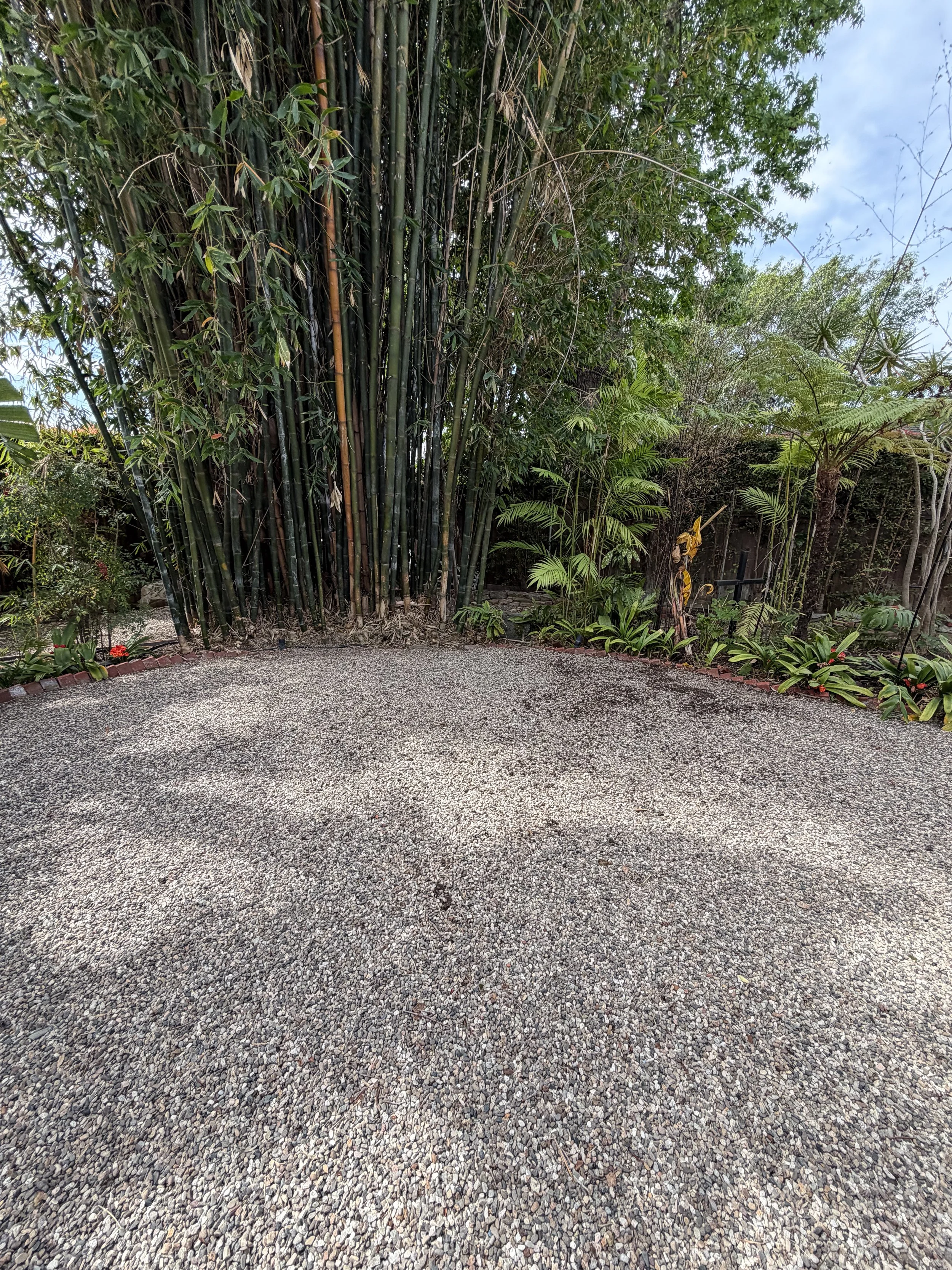 A cleared backyard where tree branches have been removed.