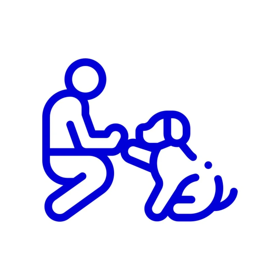 How to stop a dog from whining?