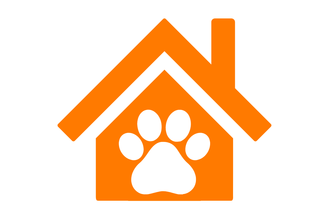 How to stop a dog from eating poop?