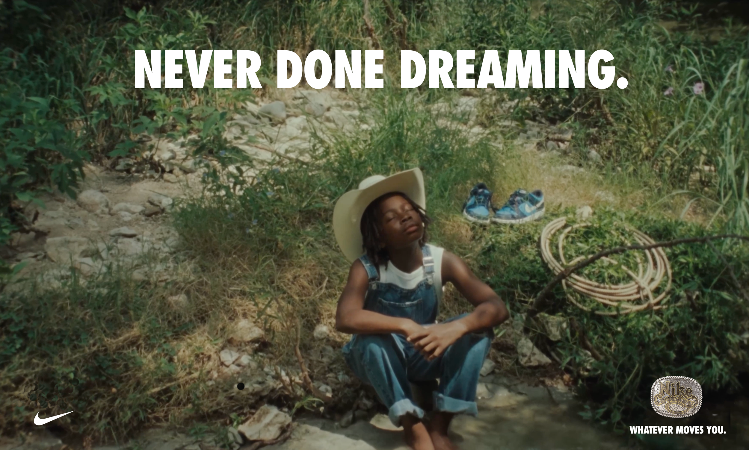 NEVERDONEDREAMINGalt.png