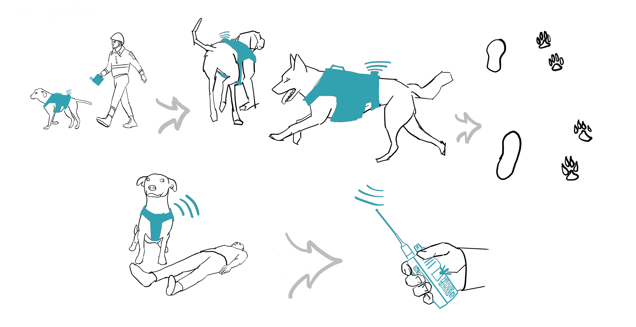 dog pack story board - blue.png