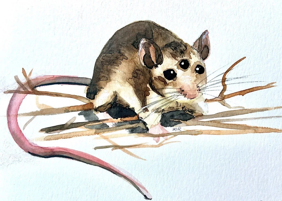 Three-eyed Mouse

Water Color and Gouache on paper
6in x 8in