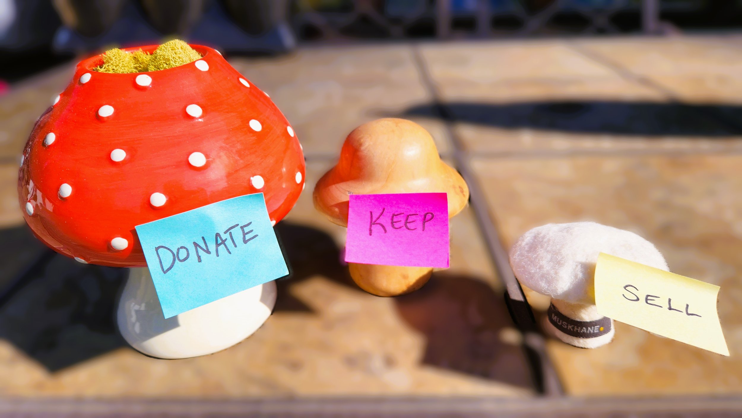 MUSHROOM DECLUTTER.jpg