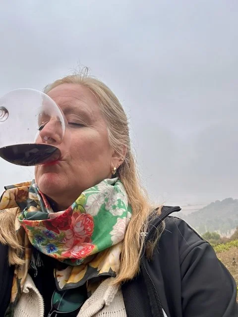 Part II of the Navarra Blog: Nine Wineries and Five Sub-zones in Four Days.