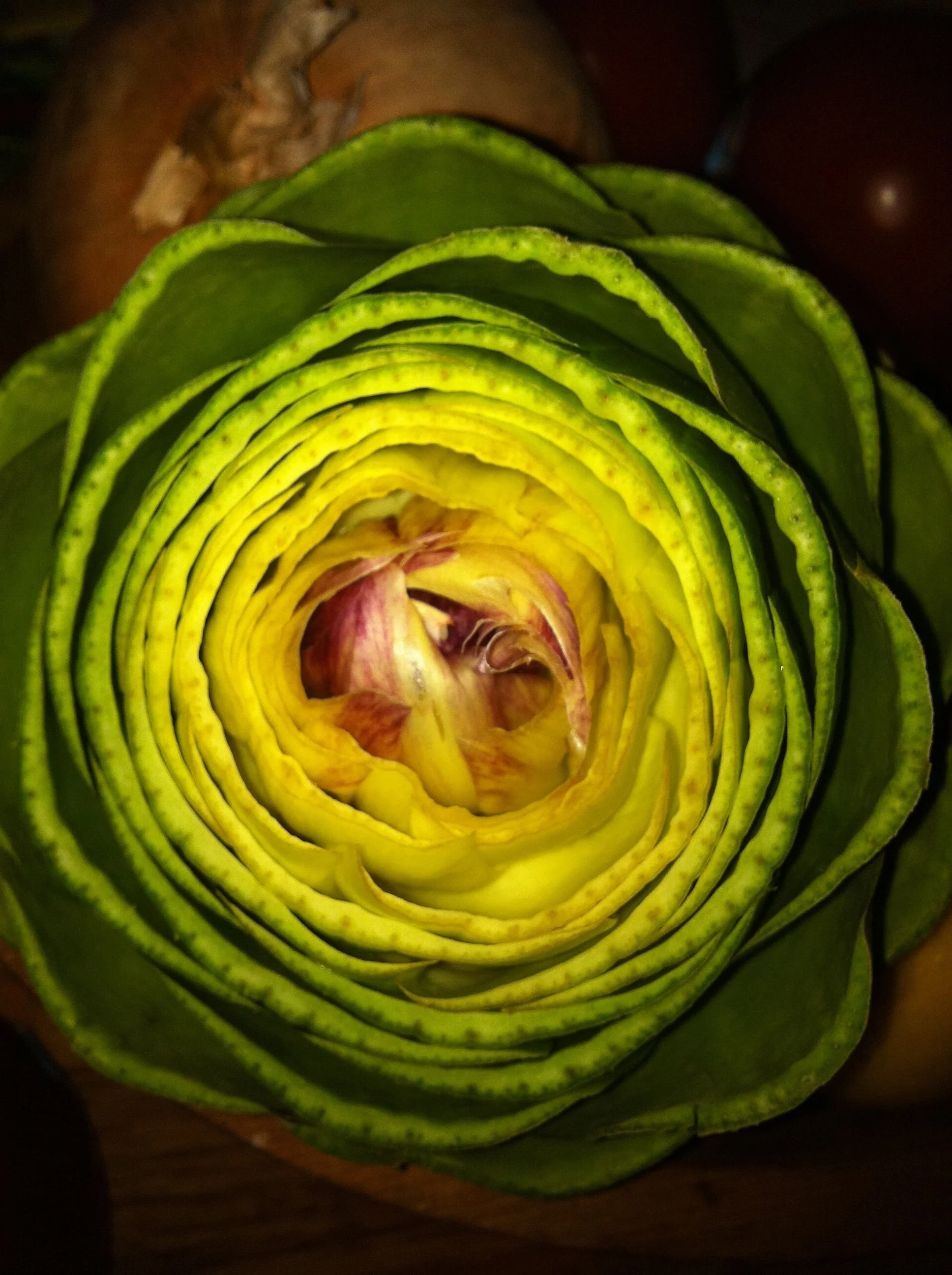 Regional Spanish Cuisine Cooking Class