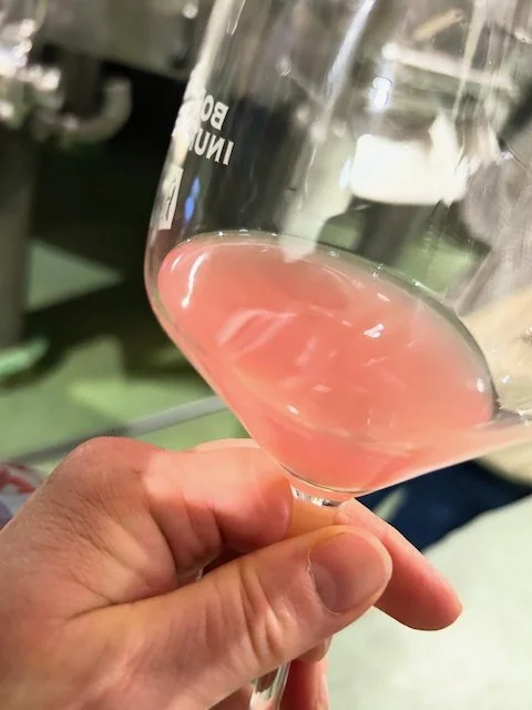 Clarifying the Unclarified: Answering some Questions on Natural Wine