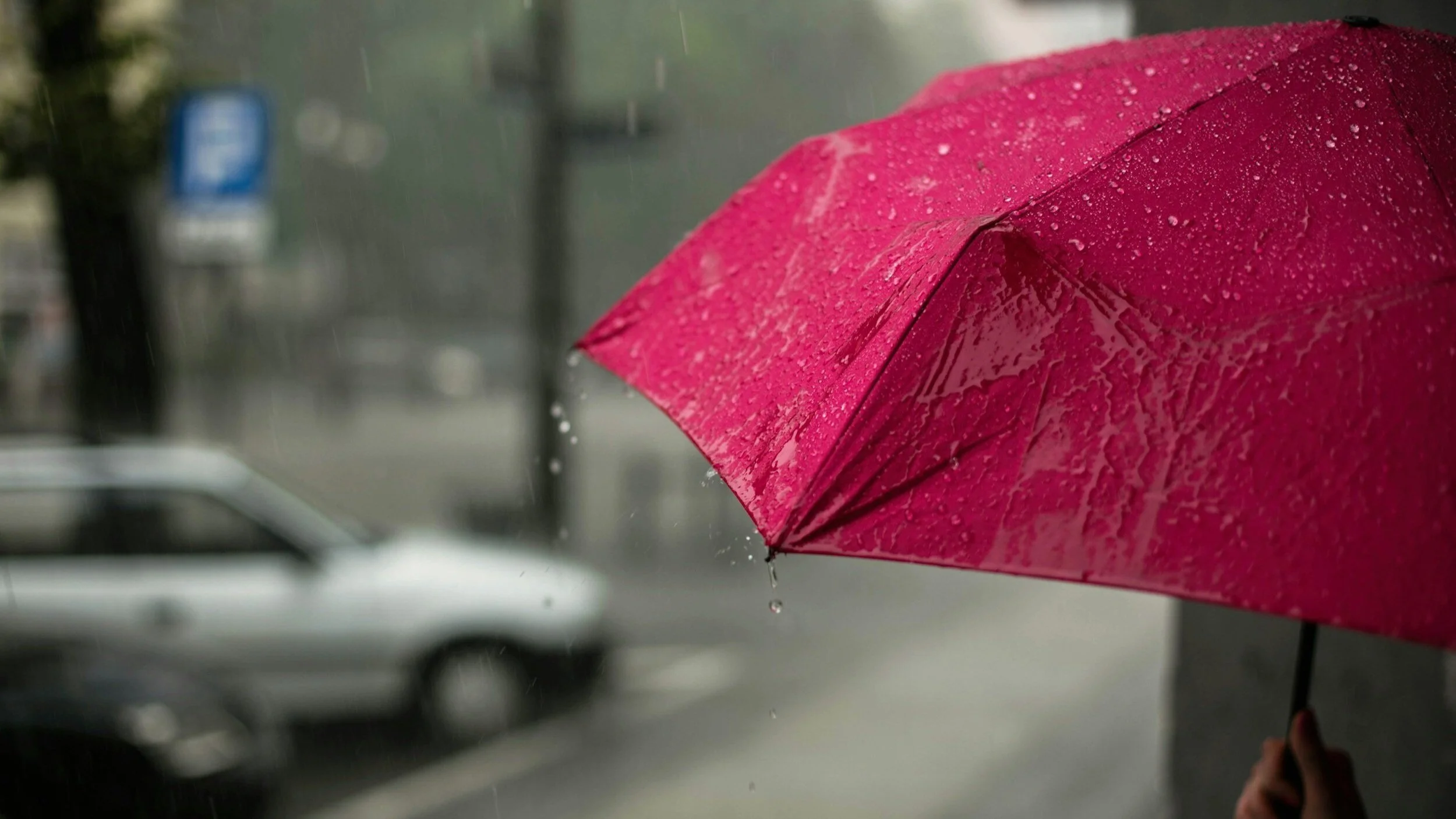 Flooding, Rain Events + Stand Downs