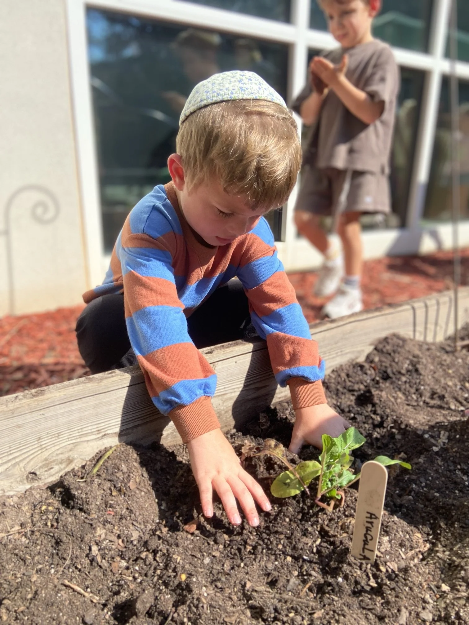 Growing More Than a Garden