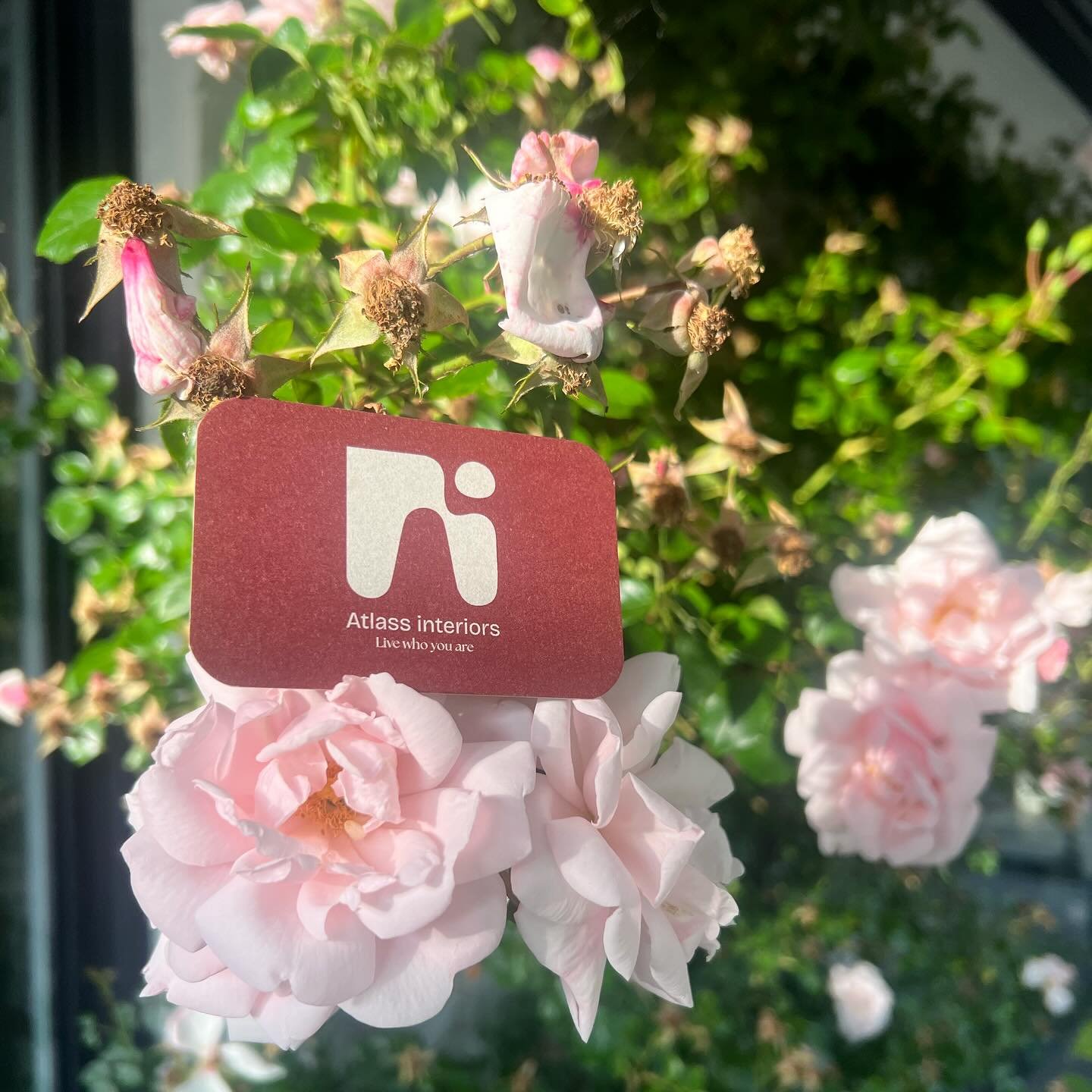 🌸 Nieuwe kaartjes, nieuwe energie!

Helemaal blij om mijn Atlass Interiors visitekaartjes te delen. Ontworpen om precies uit te stralen waar het merk voor staat: identiteit, intentie en interieurverhalen.

🌹 Elk detail heeft betekenis &mdash; van d