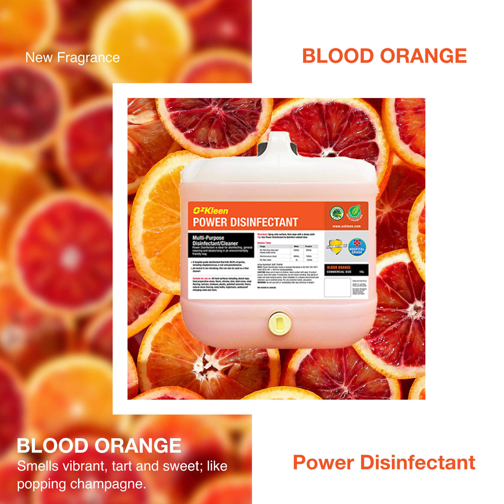 PD-newfragrance-bloodorange-280224.png