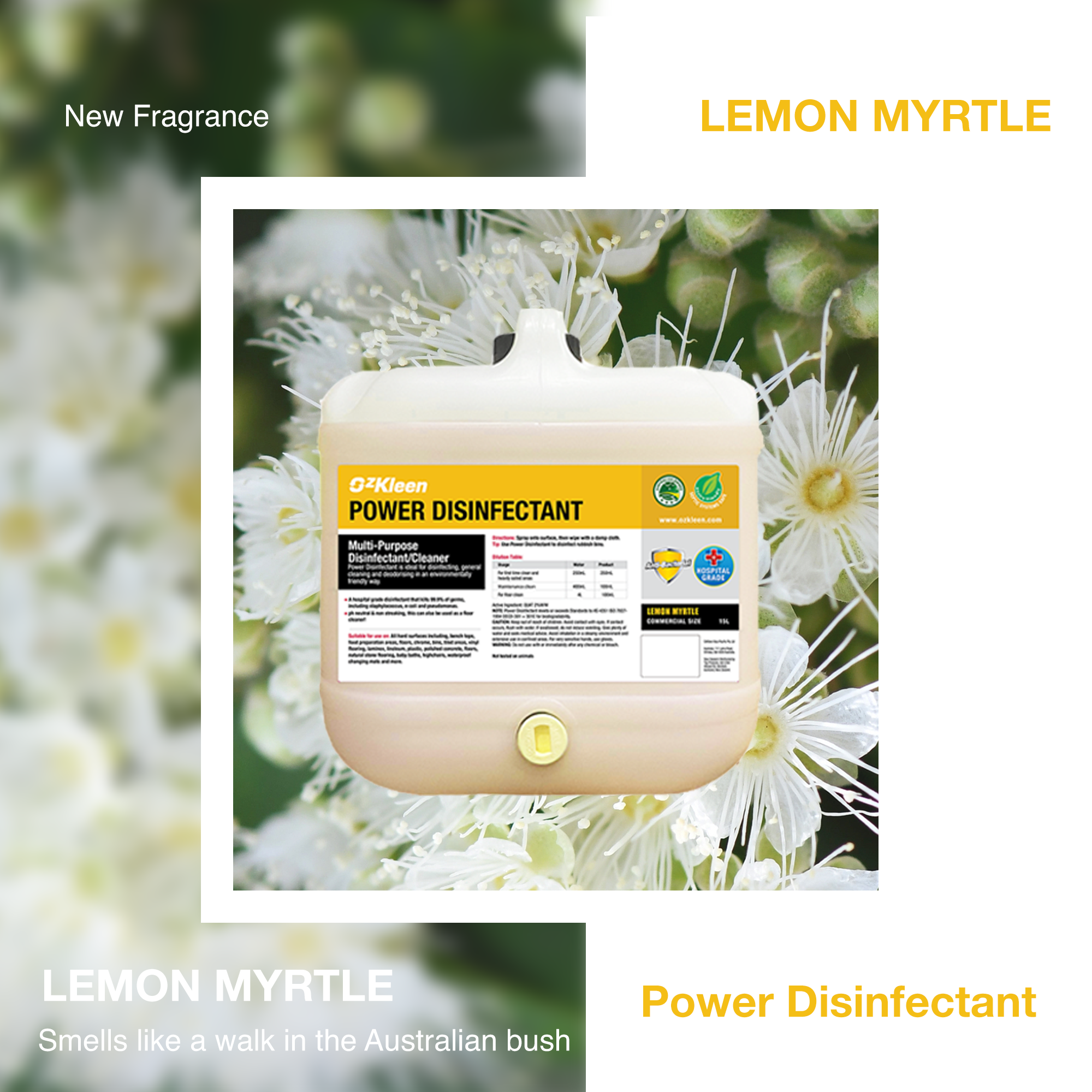 PD-newfragrance-lemonmyrtle-280224.png