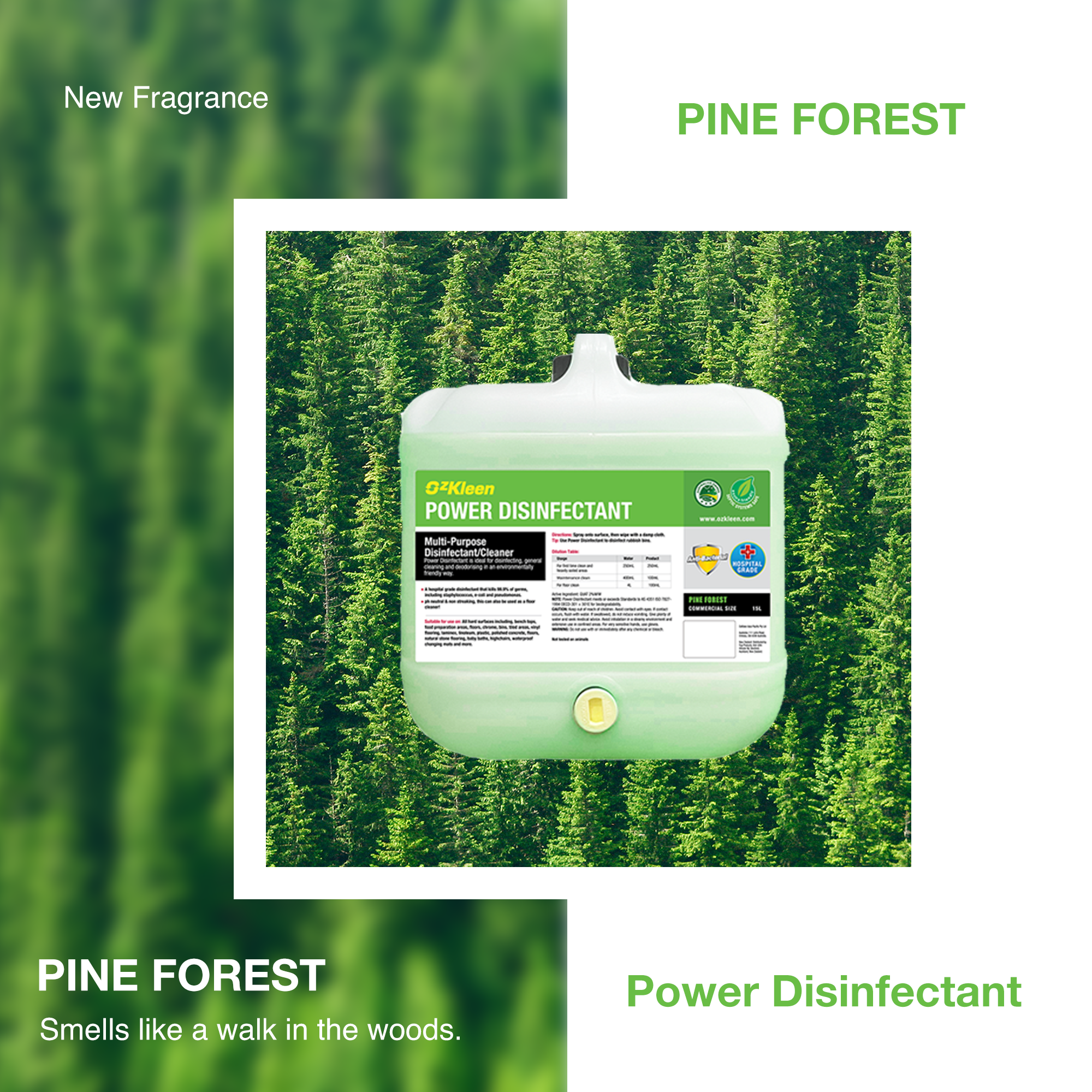 PD-newfragrance-pineforest-280224.png