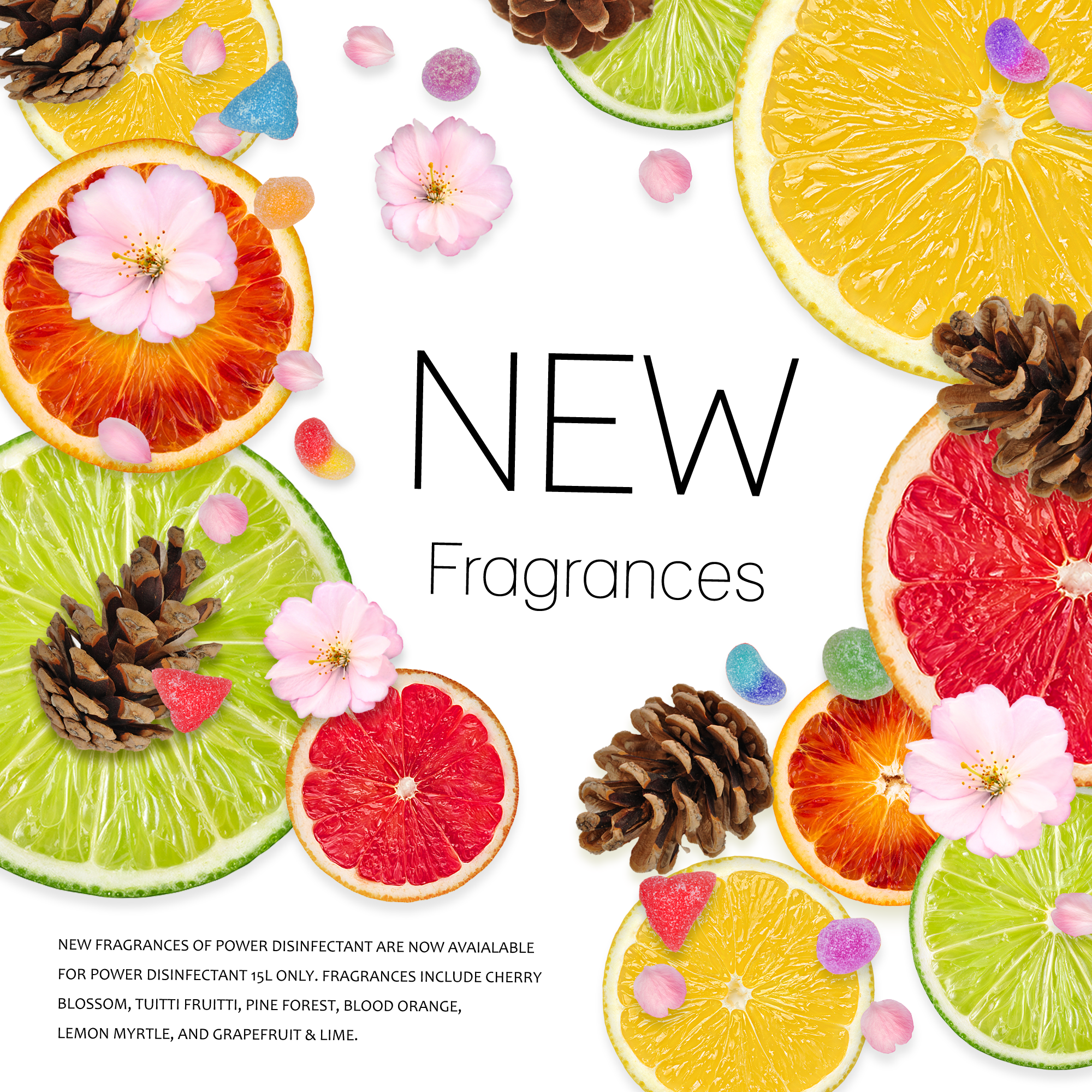 PD-newfragrance-slide1-280224.png