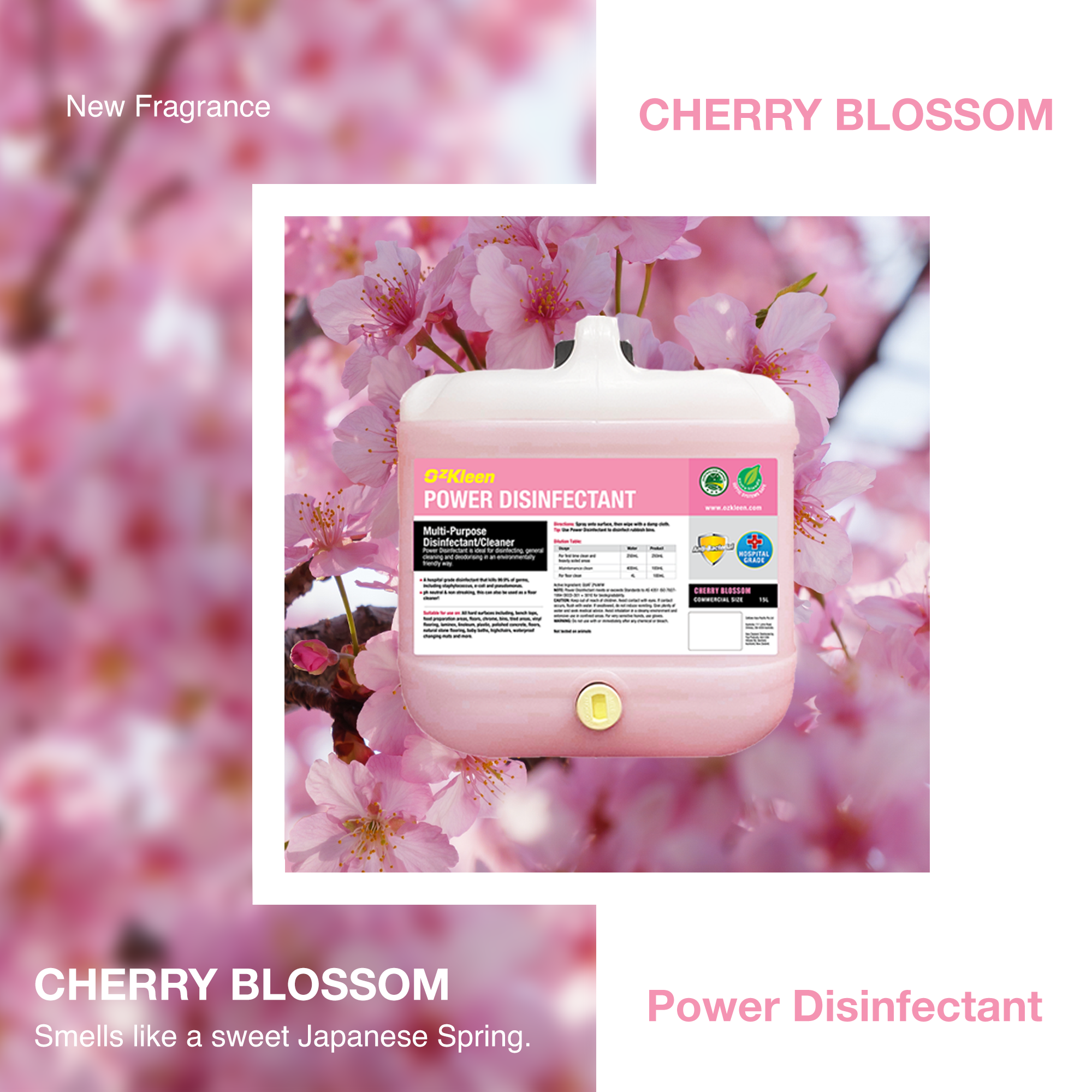 PD-newfragrance-cherryblossom-280224.png
