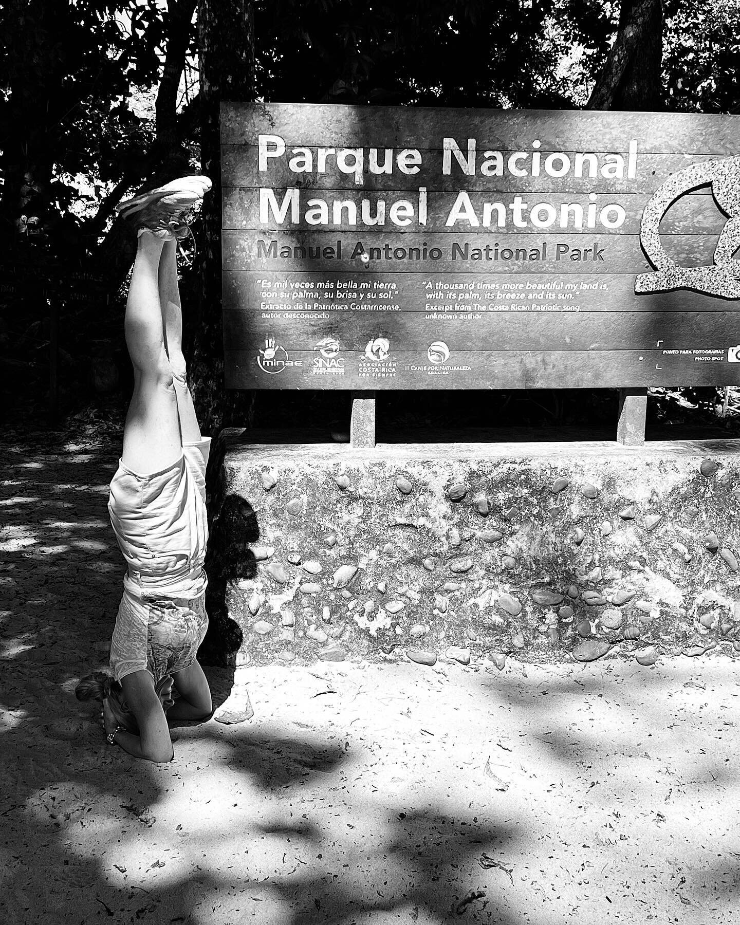Magnifique visite du parc de Manuel Antonio en compagnie d&rsquo;un guide exceptionnel, Keneth 🤩
