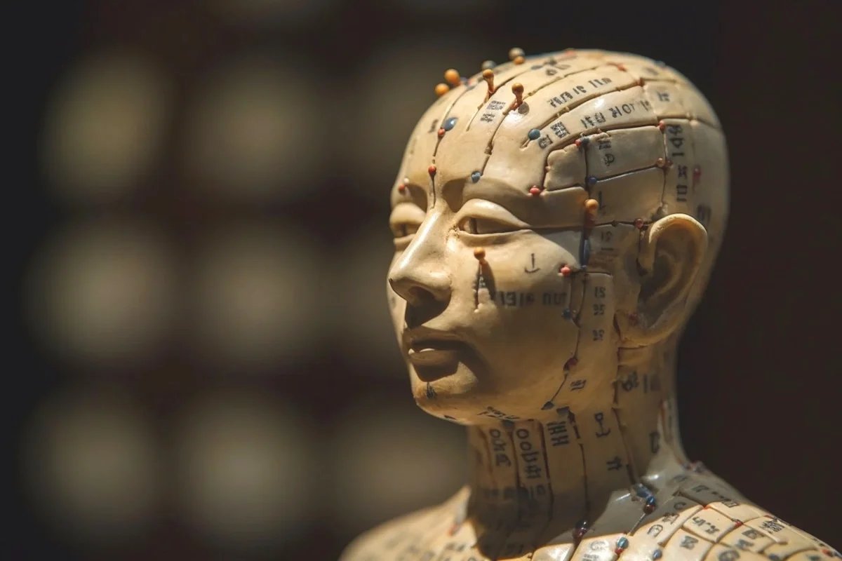 The Heart of Classical Chinese Medicine: A Journey Beyond TCM