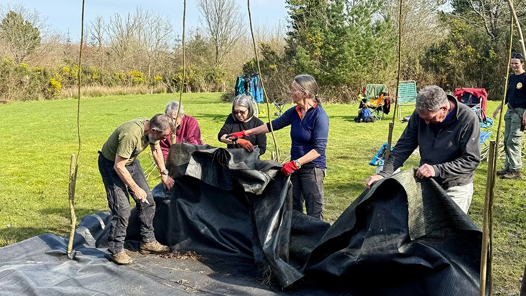 Willow Dome Lo-Res 01.jpg