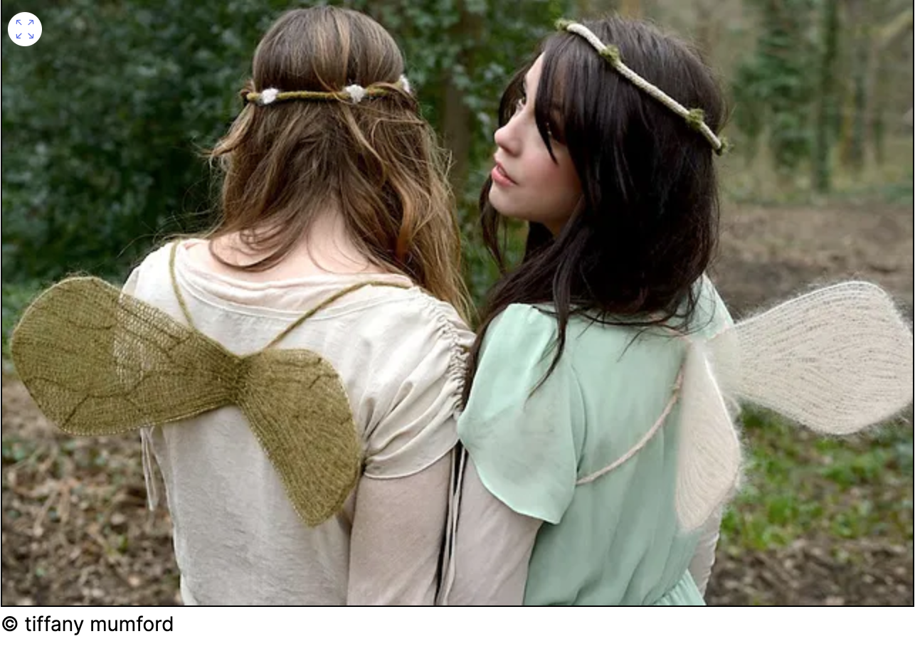 Knitted faerie wings! 