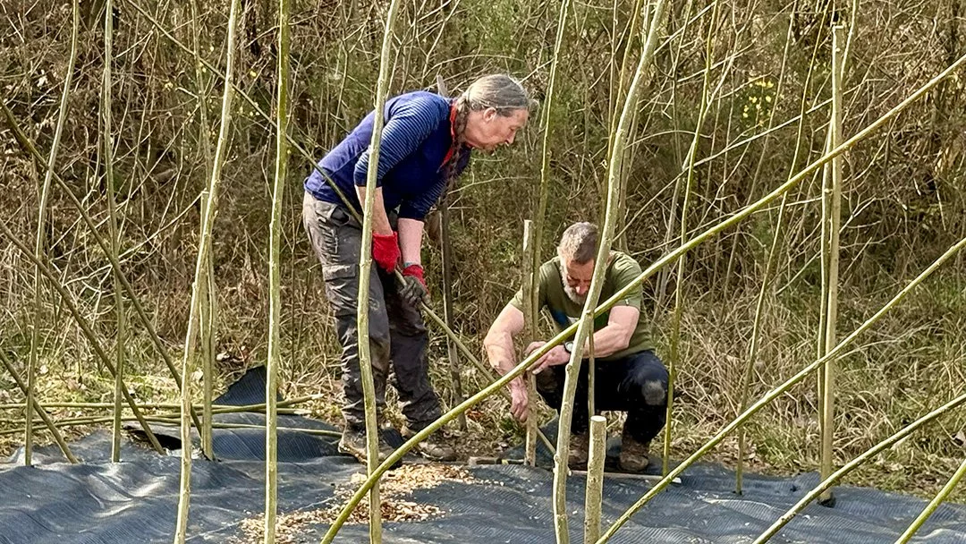 Willow Dome Lo-Res 05.jpg
