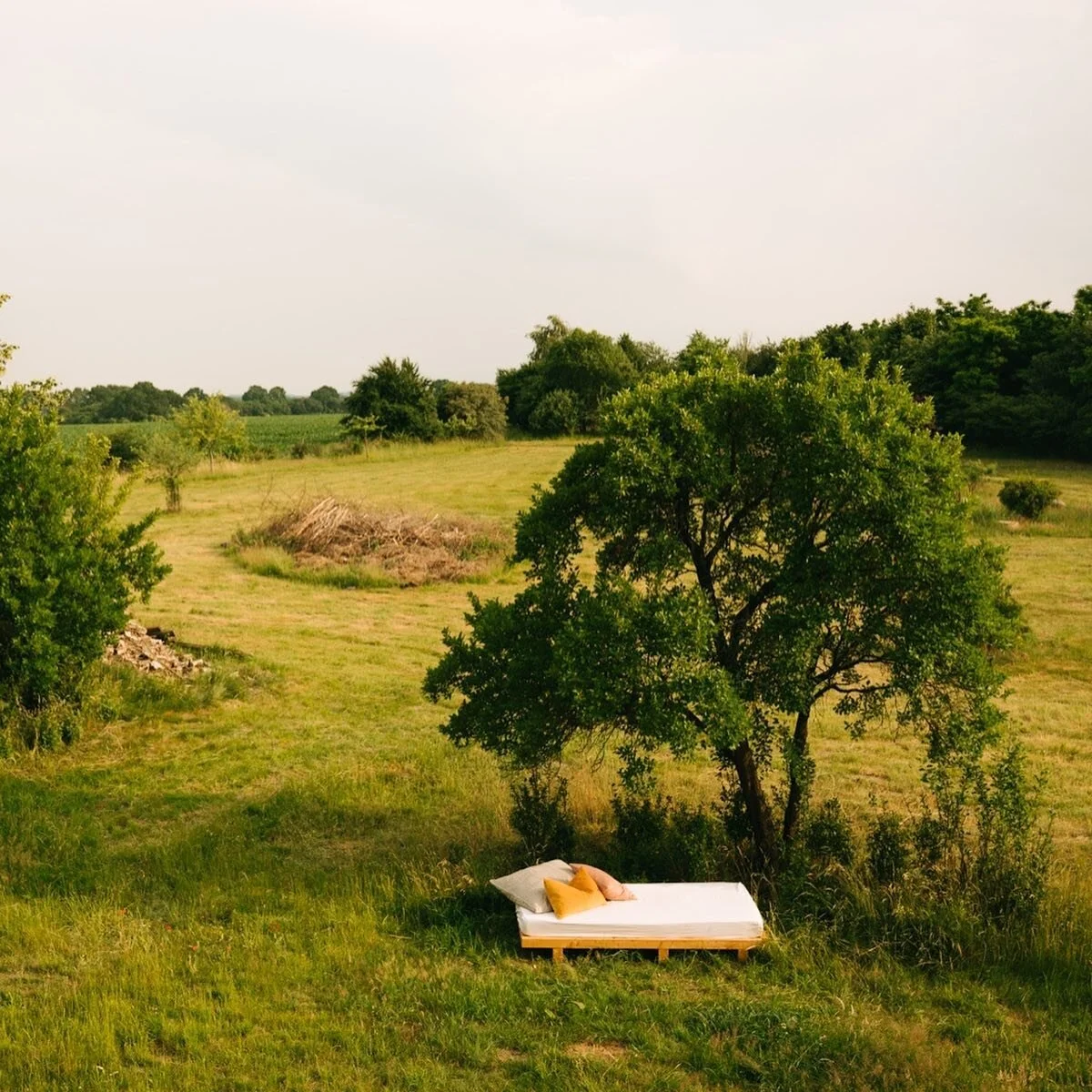 SAVE THE DATE | 22 - 25 August 2024 | RETREAT 

feed your BODY
feed your SOUL 

yoga &bull; food &bull; nature

Many of you asked for it so here we go. A 4 day retreat in the beautiful nature of Mecklenburg-Vorpommern, not far from the Baltic Sea @no