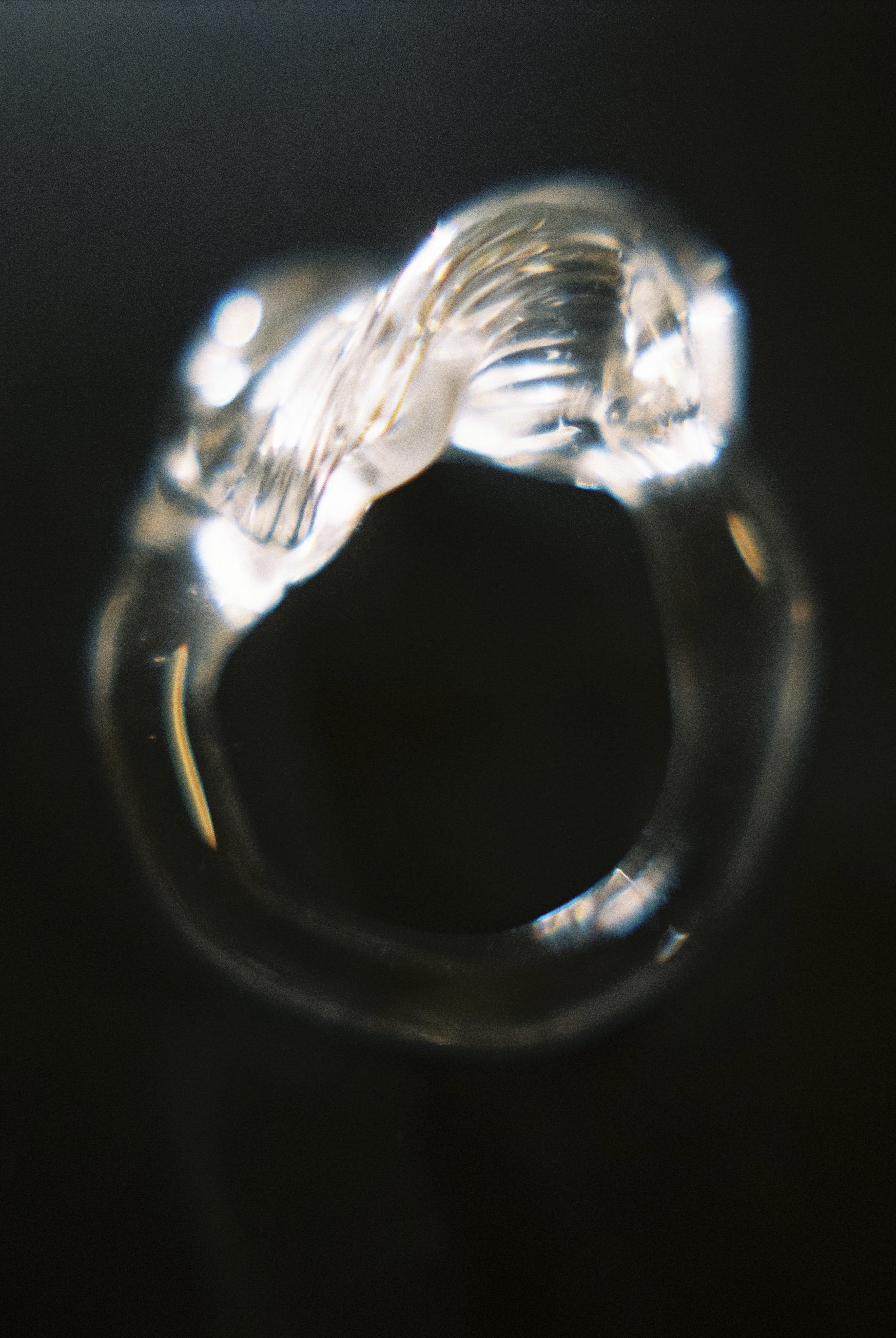 IMG_1742.jpeg