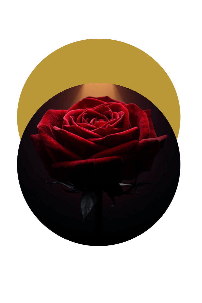 La Voix de la Rose méditations et activations guidées