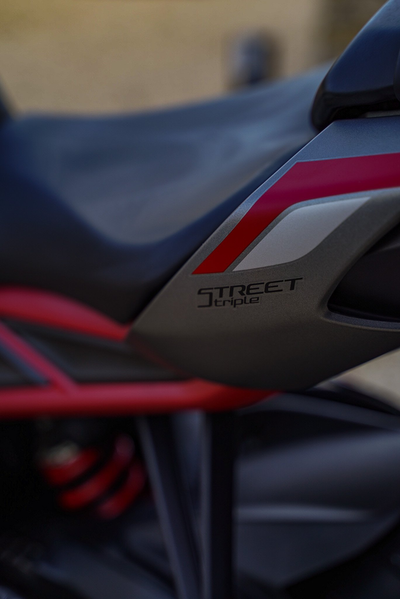 Triumph-Daytona_765-tail.jpg