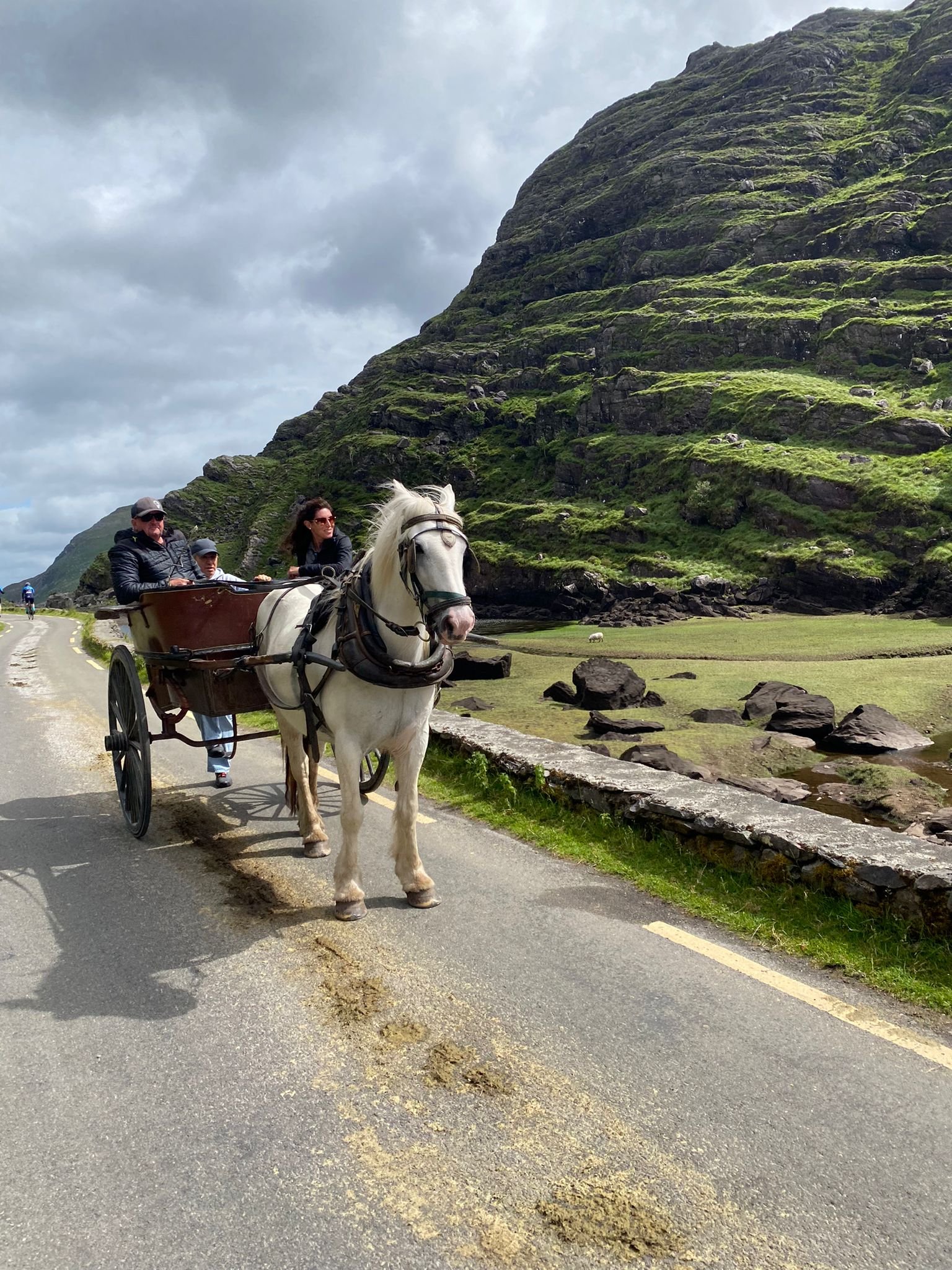 PHOTO-2024-06-28-17-17-29 (2).jpg