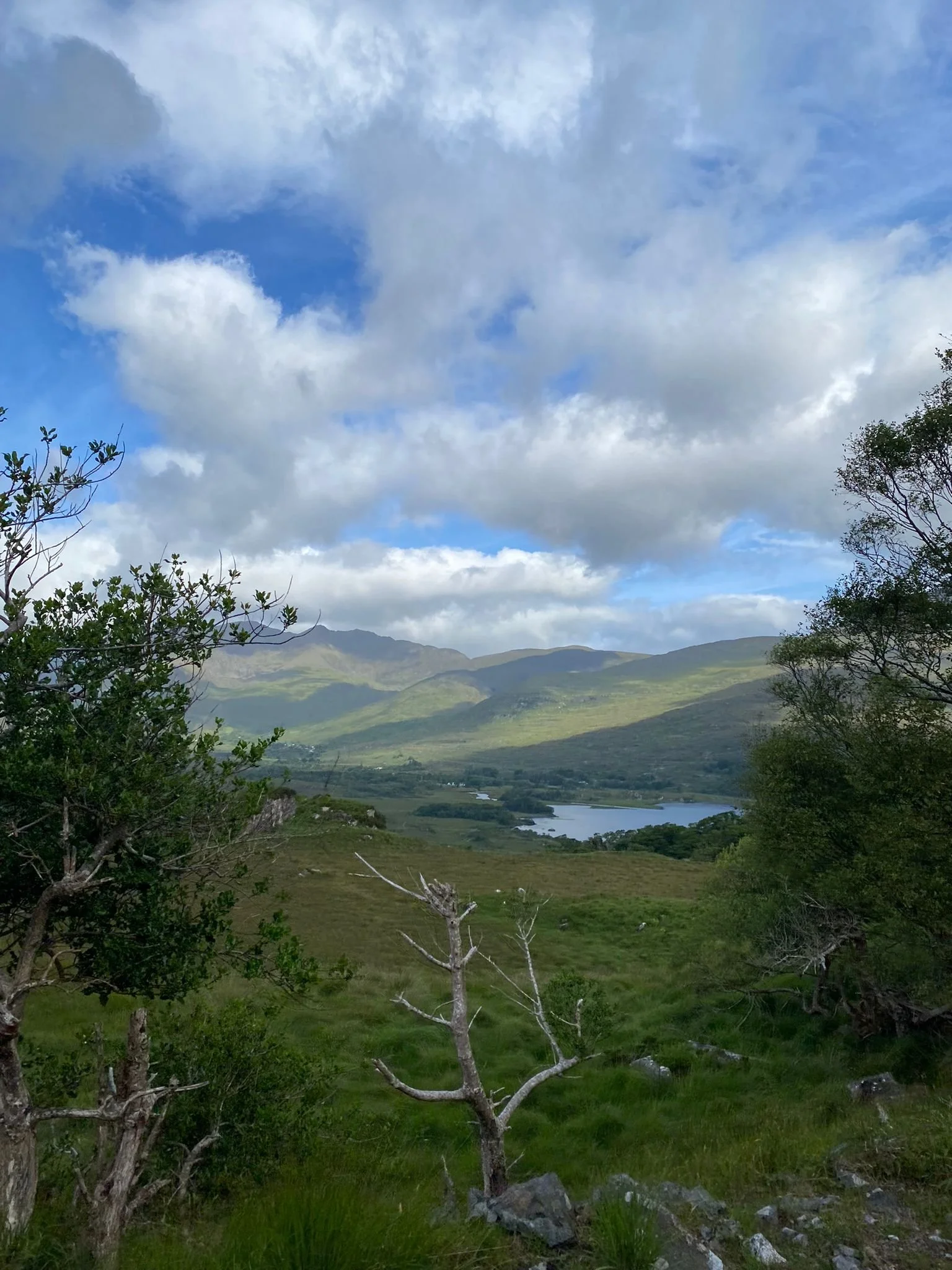 PHOTO-2024-06-28-17-18-32 (2).jpg