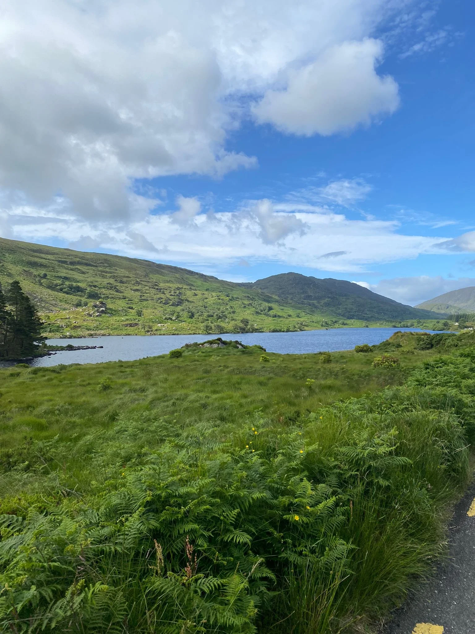 PHOTO-2024-06-28-17-18-32 (3).jpg