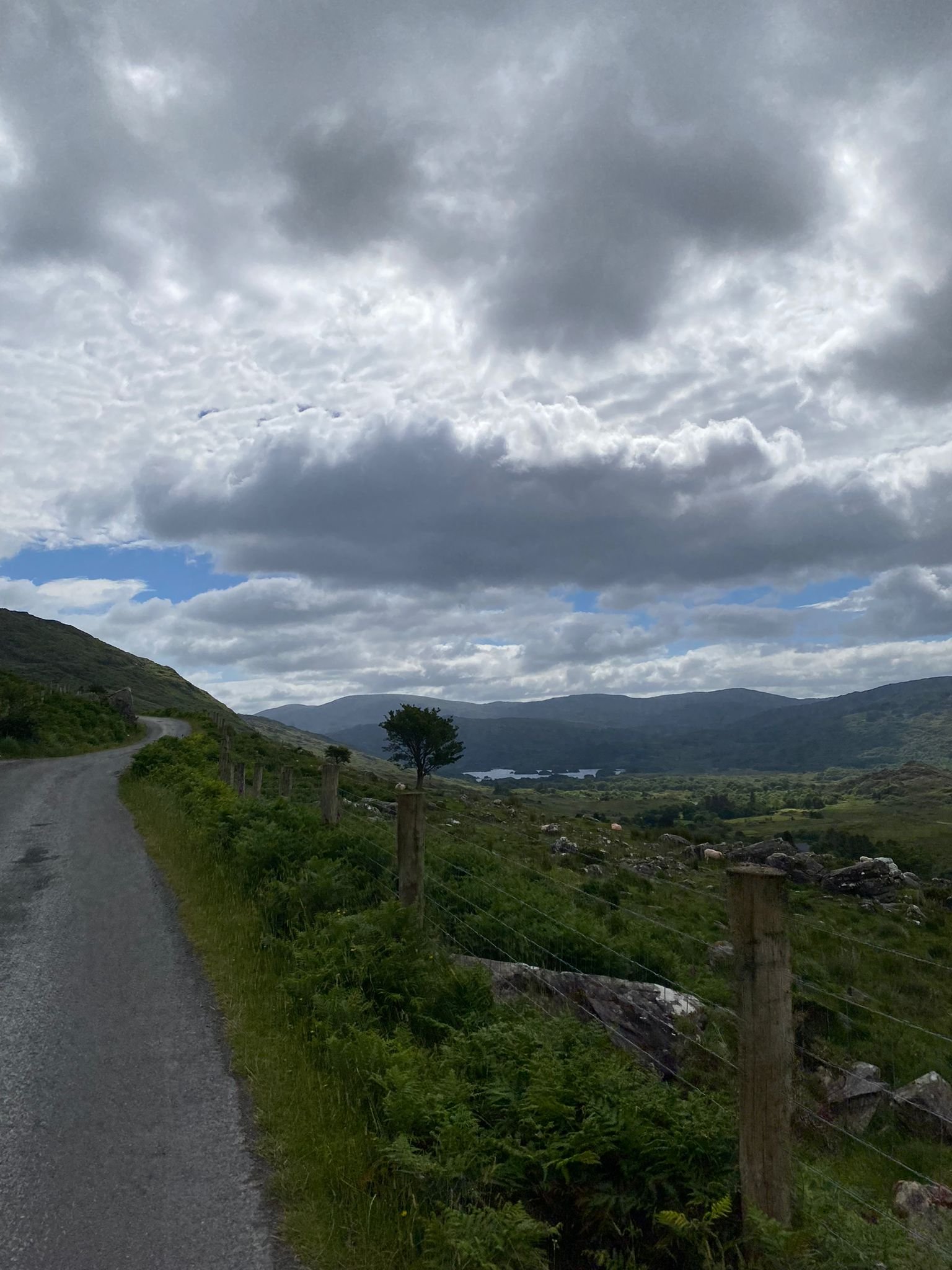 PHOTO-2024-06-28-17-17-30 (2).jpg