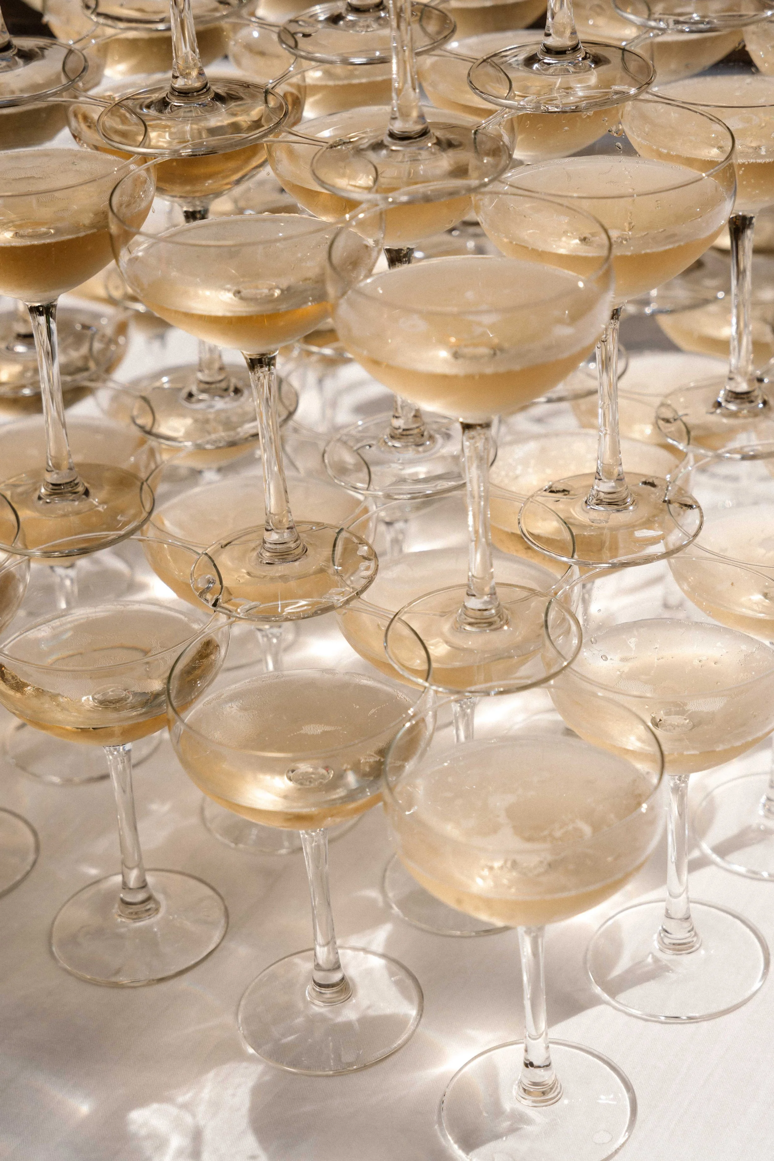 Petra Marton - Weddings by Petra - Amsterdam Wedding Photographer