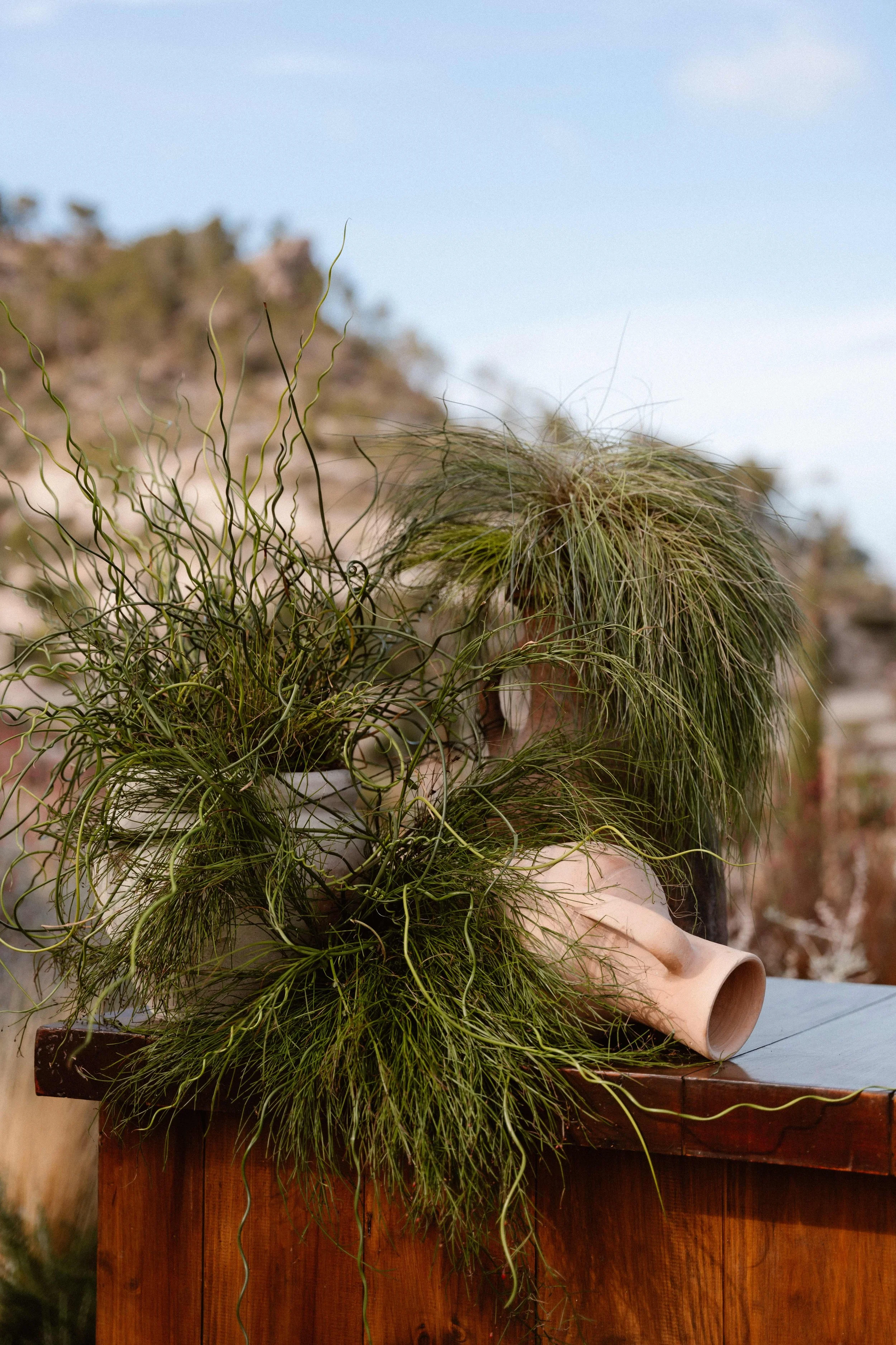 Petra Marton - Weddings by Petra - Amsterdam Wedding Photographer