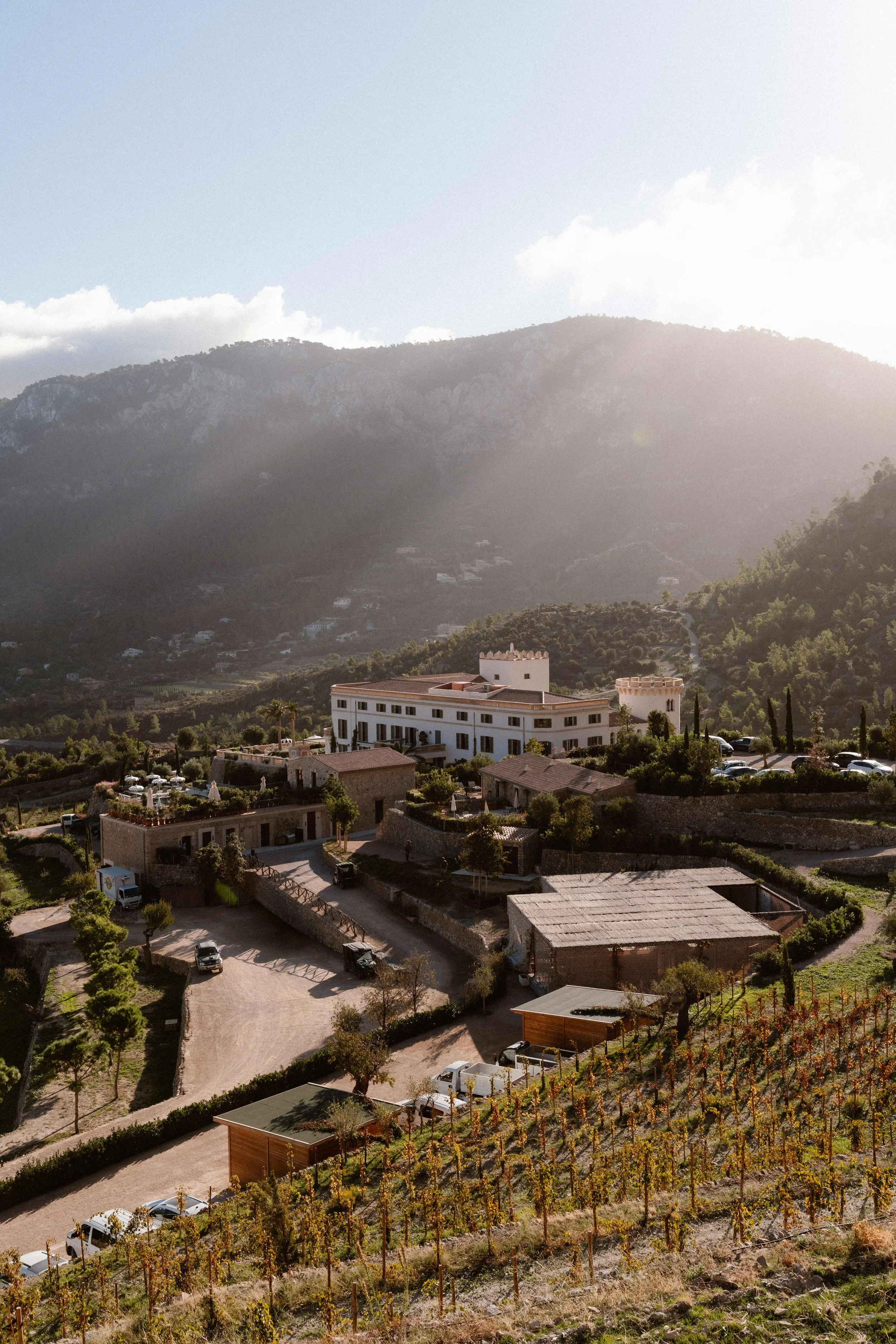 Petra Marton - Weddings by Petra - Amsterdam Wedding Photographer