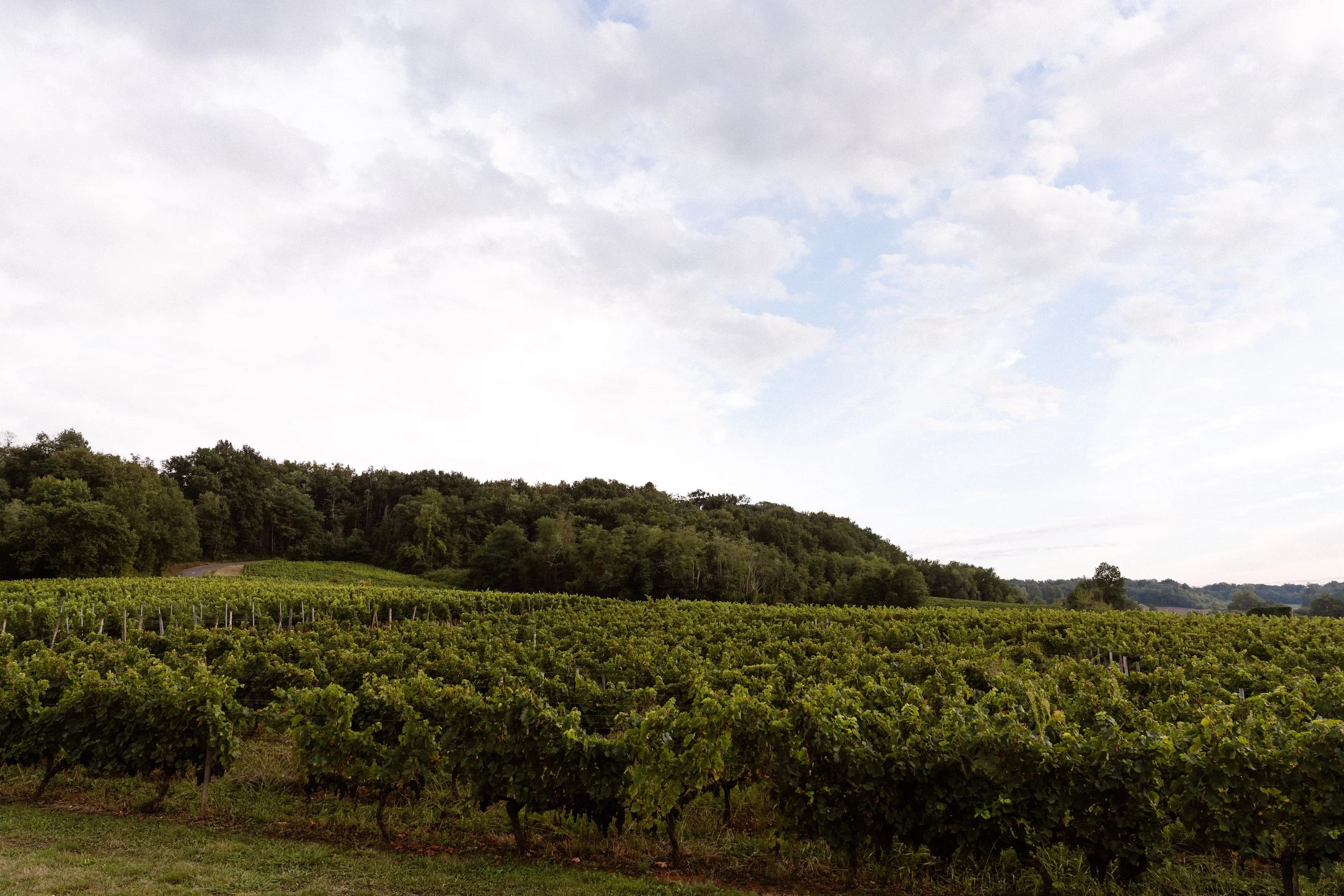 Weddings by Petra - Jacqueline & Travis 001.jpg