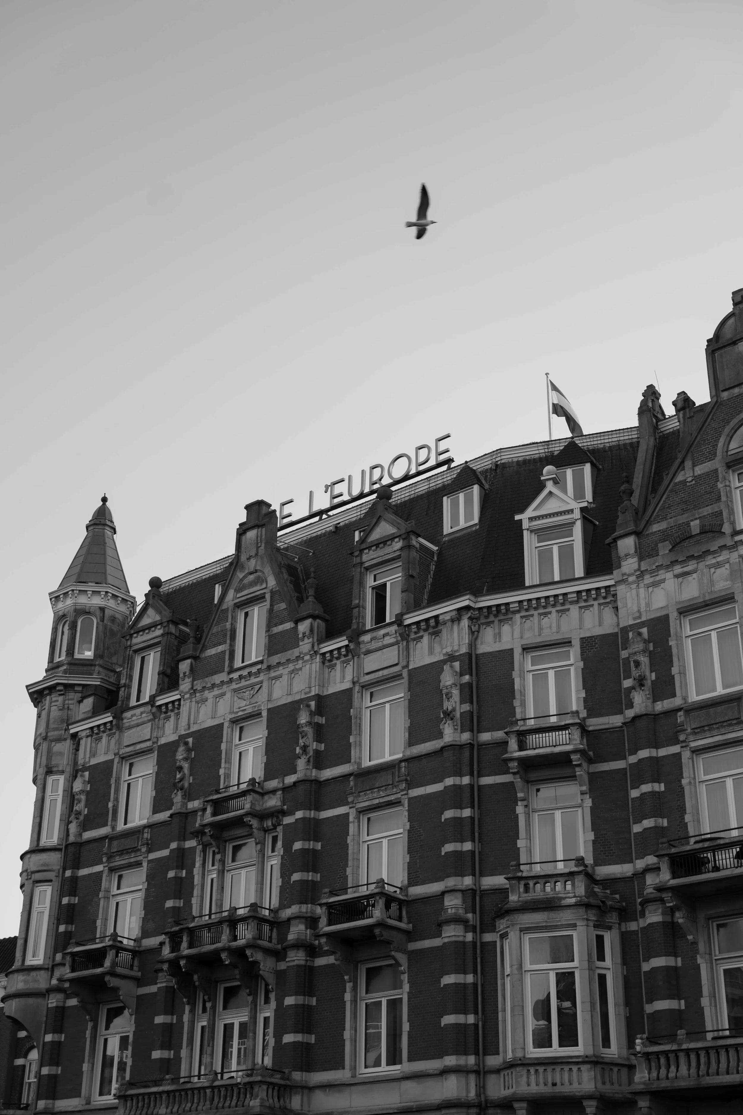 Petra Marton - Weddings by Petra - Amsterdam Wedding Photographer